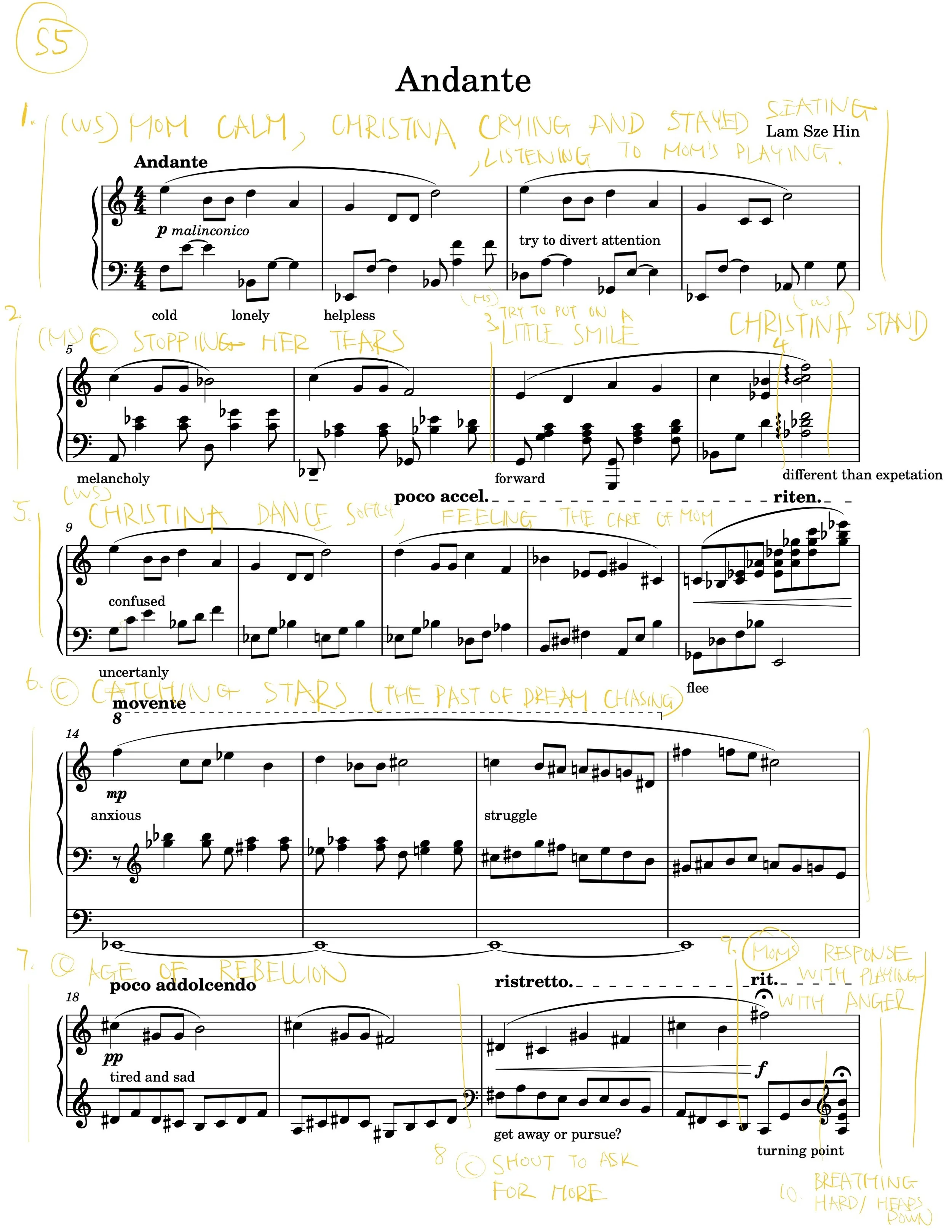 Andante's 1st Draft of Outline