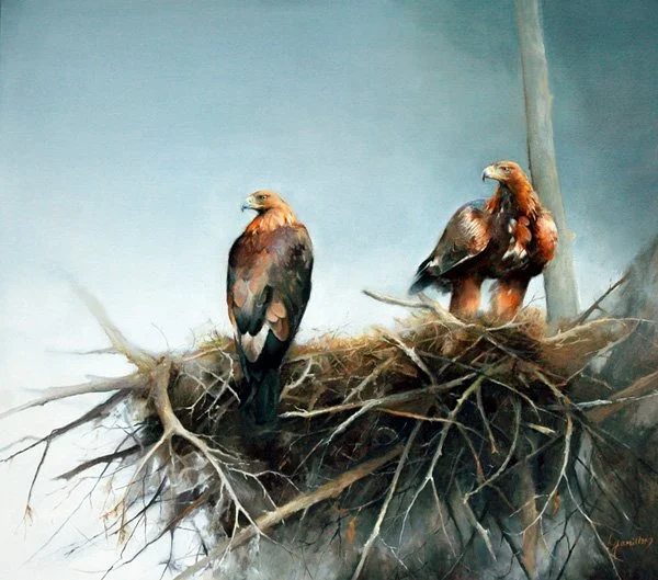 On the Edgefreestart.jpg