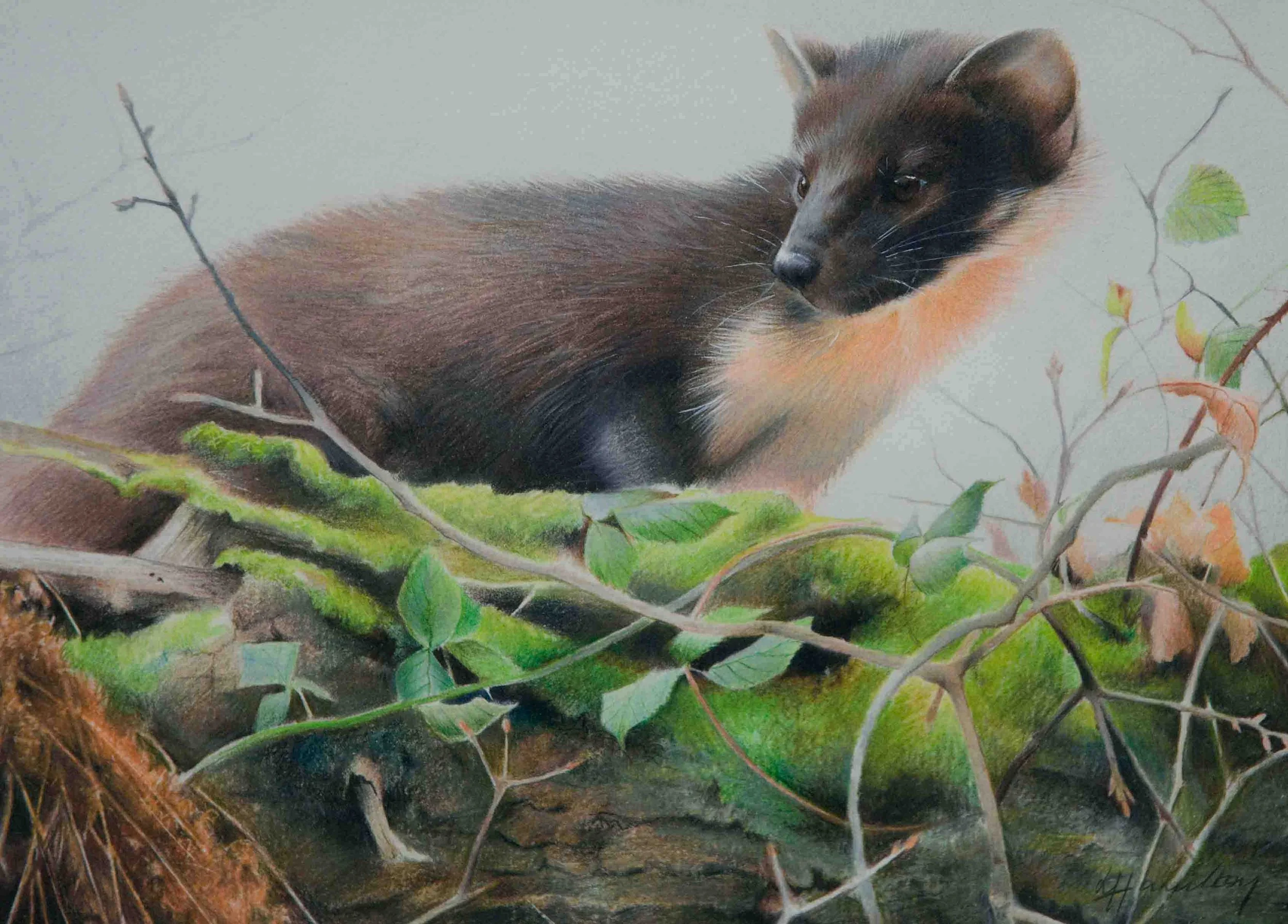 Treetop hunter_edited-1.jpg