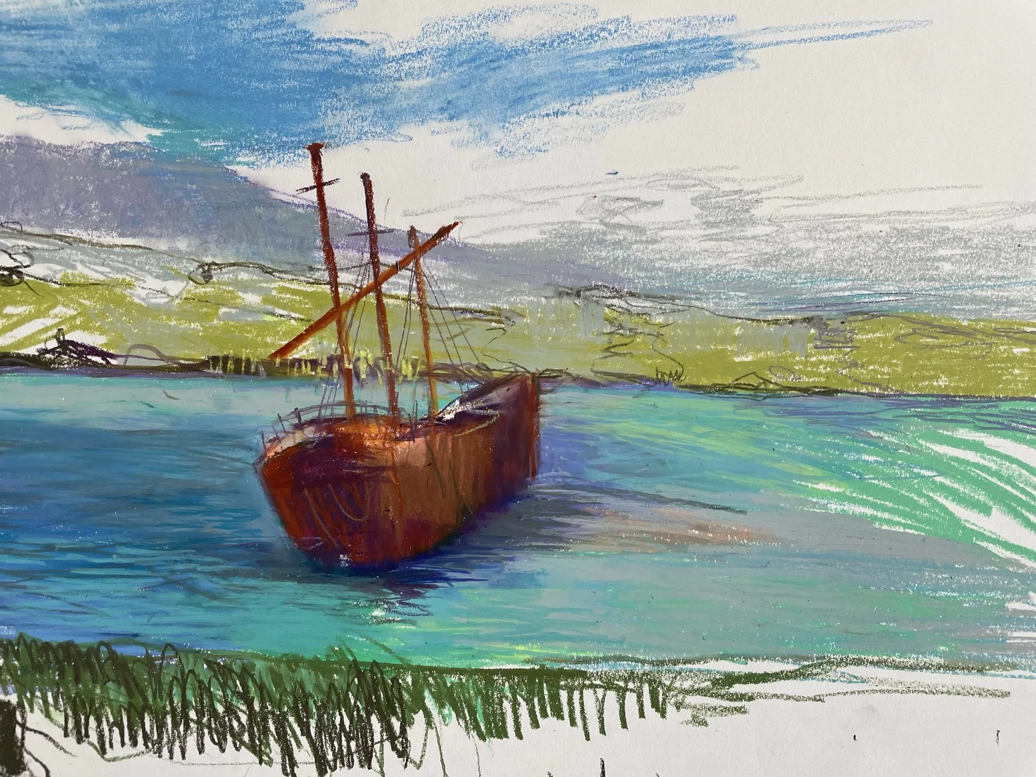 Lady Elizabeth, Falkland Islands
Caran d'ache
30cm x 40cm