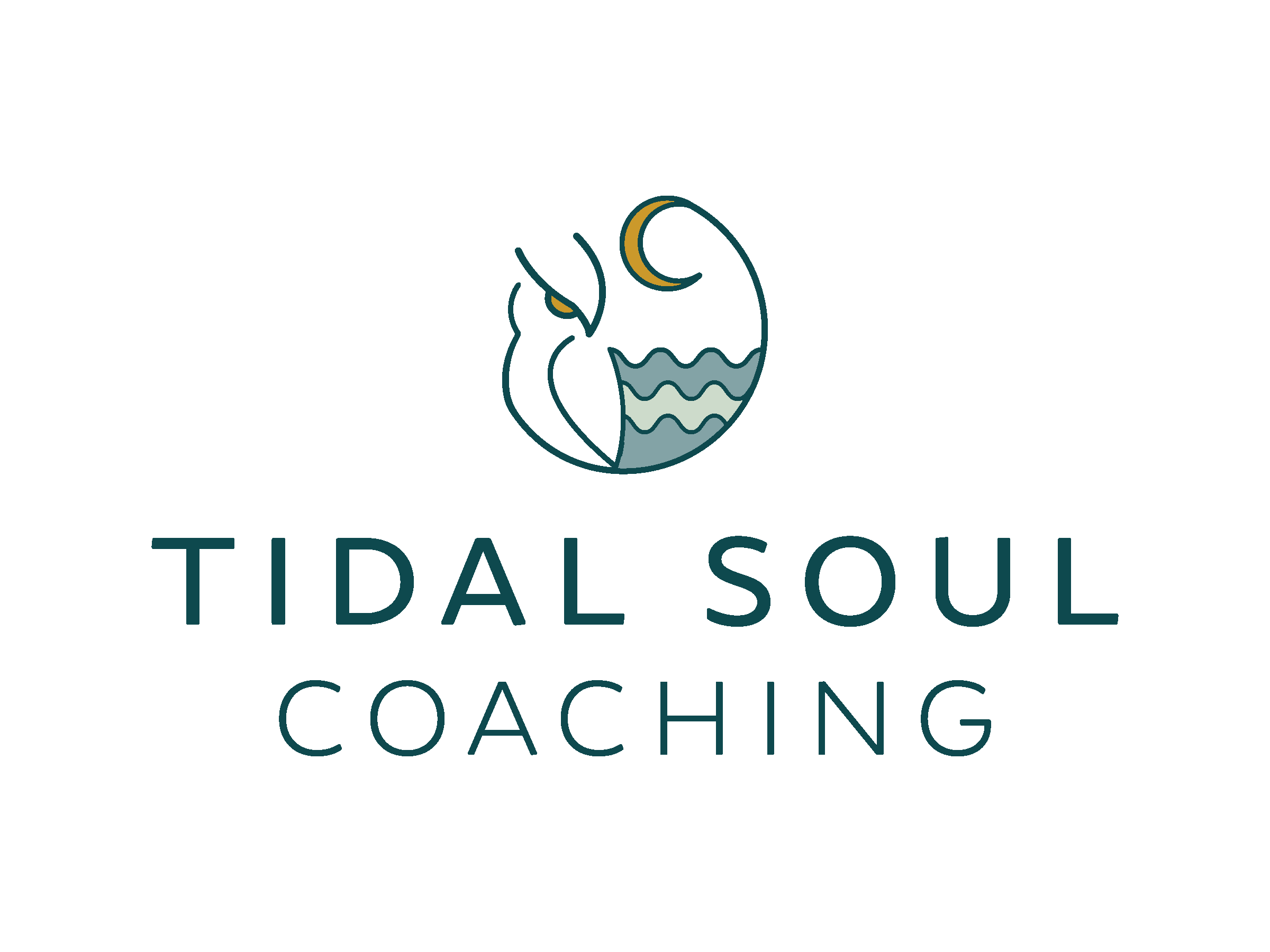 NBD Brand Logos_Tidal Soul.png