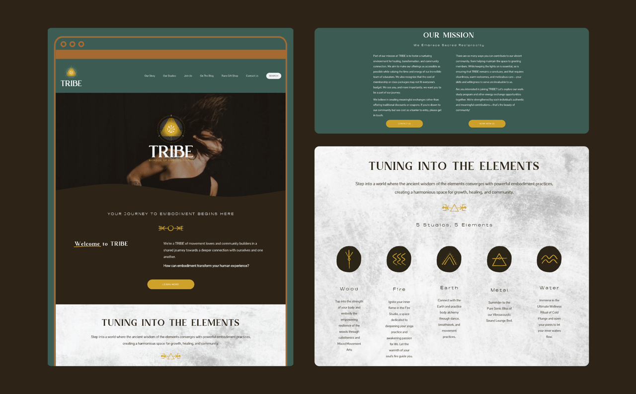 Tribe Web Design Slide Large.png