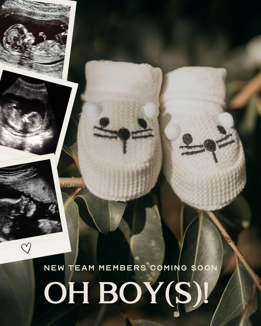 Big news... we're growing in more ways than one! 💕👶👶👶⁠
⁠
We&rsquo;re thrilled to share that Allie and Dani are each welcoming new little team members this spring!⁠
⁠
✨ Allie is expecting a baby boy⁠!⁠
✨ Dani is due with twin boys!⁠
⁠
That&rsquo;s