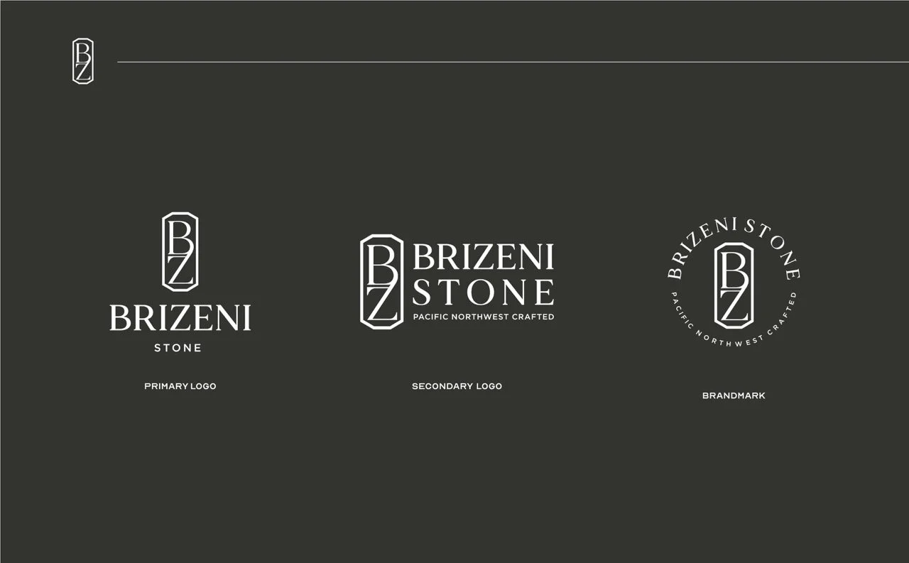 Case Study Brizeni Mock Slides2 Large.jpeg