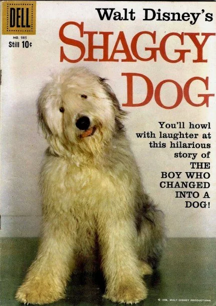 shaggy.jpg