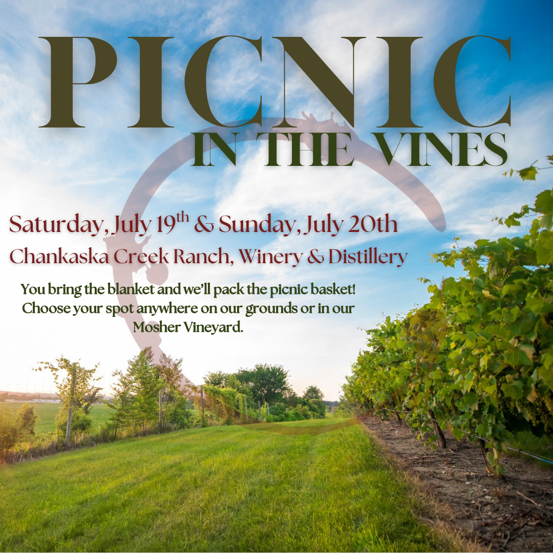 Picnic in the vines