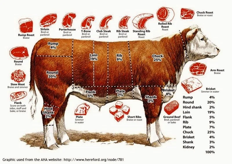 beef butcher cuts.jpg