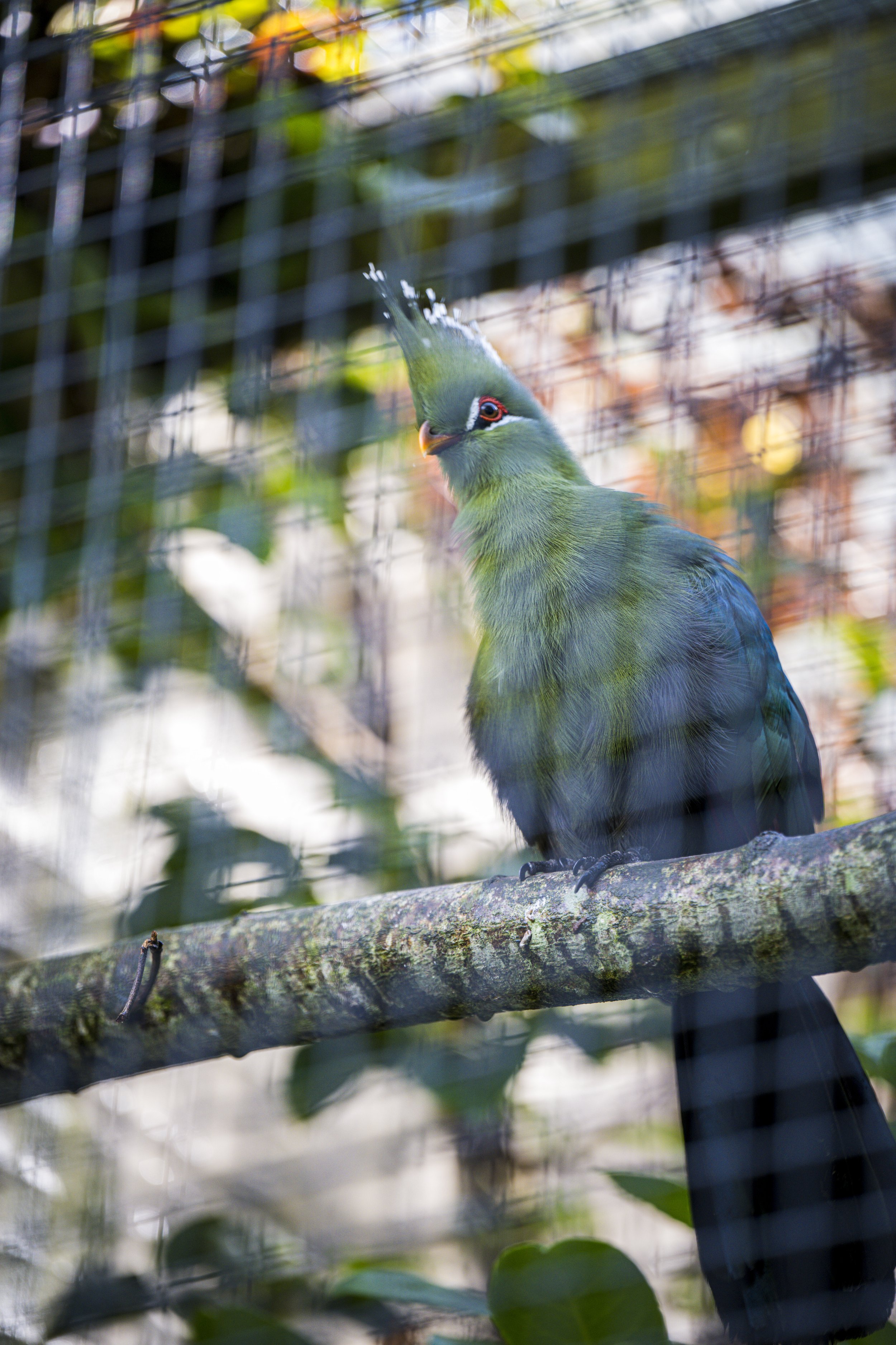 _DSC9102.jpg