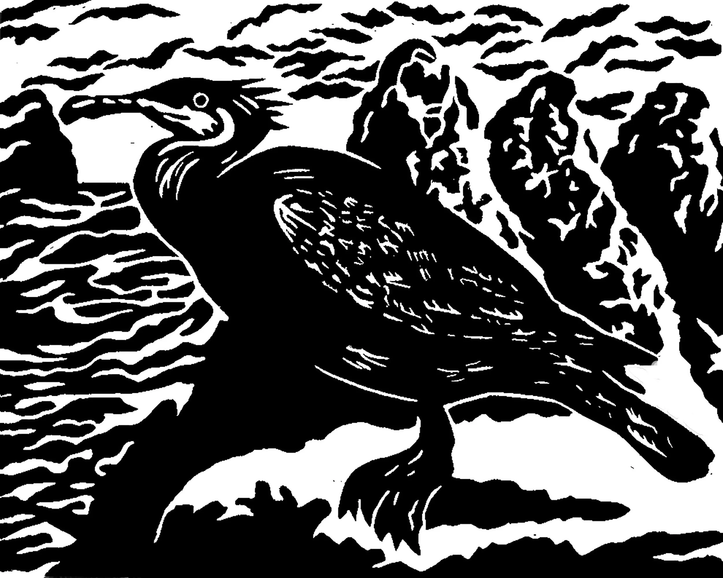 "Cormorant in the Wild",  linoleum block print, 8" x 10"