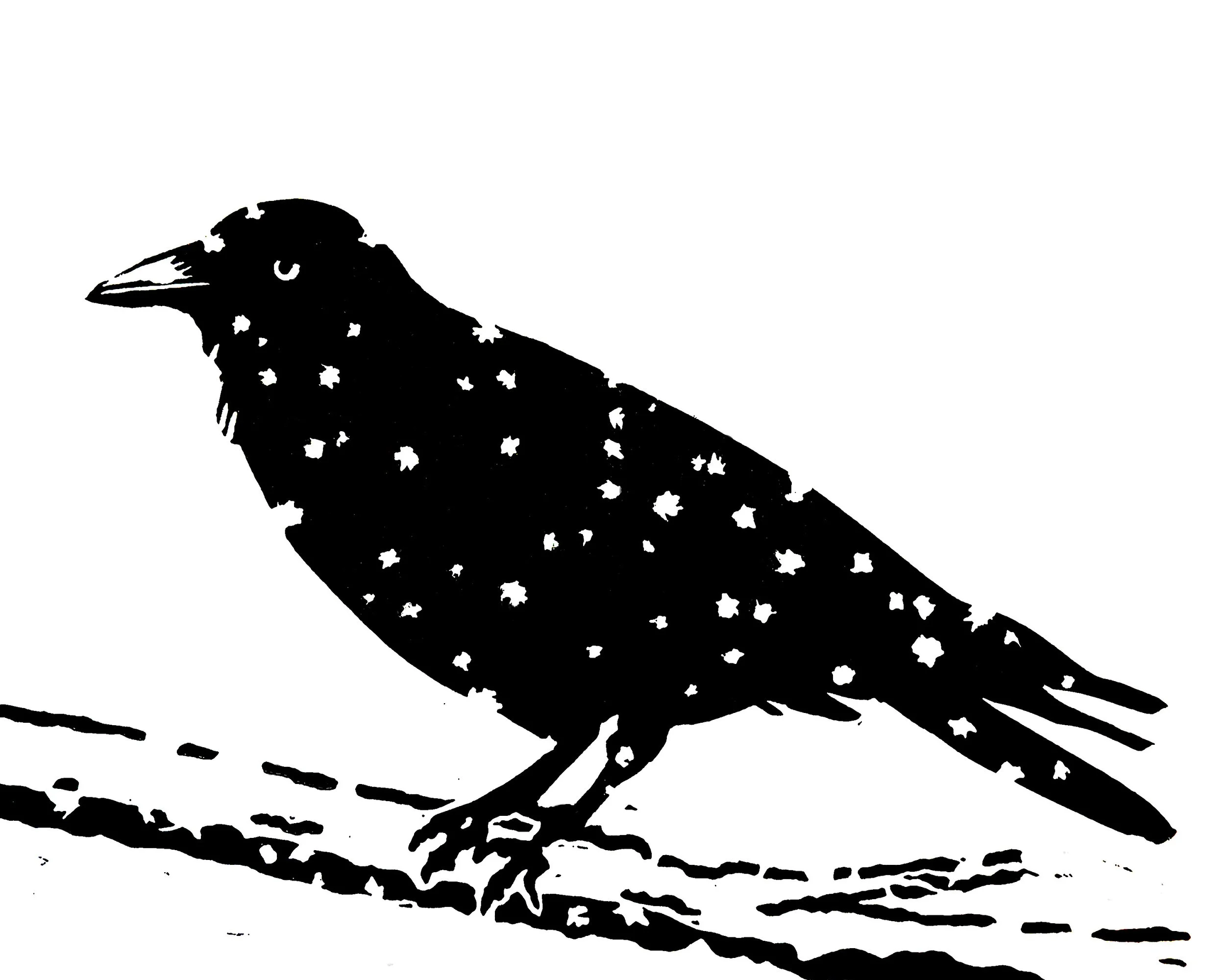 "Crow in the Snow",  linoleum block print, 8" x 10"