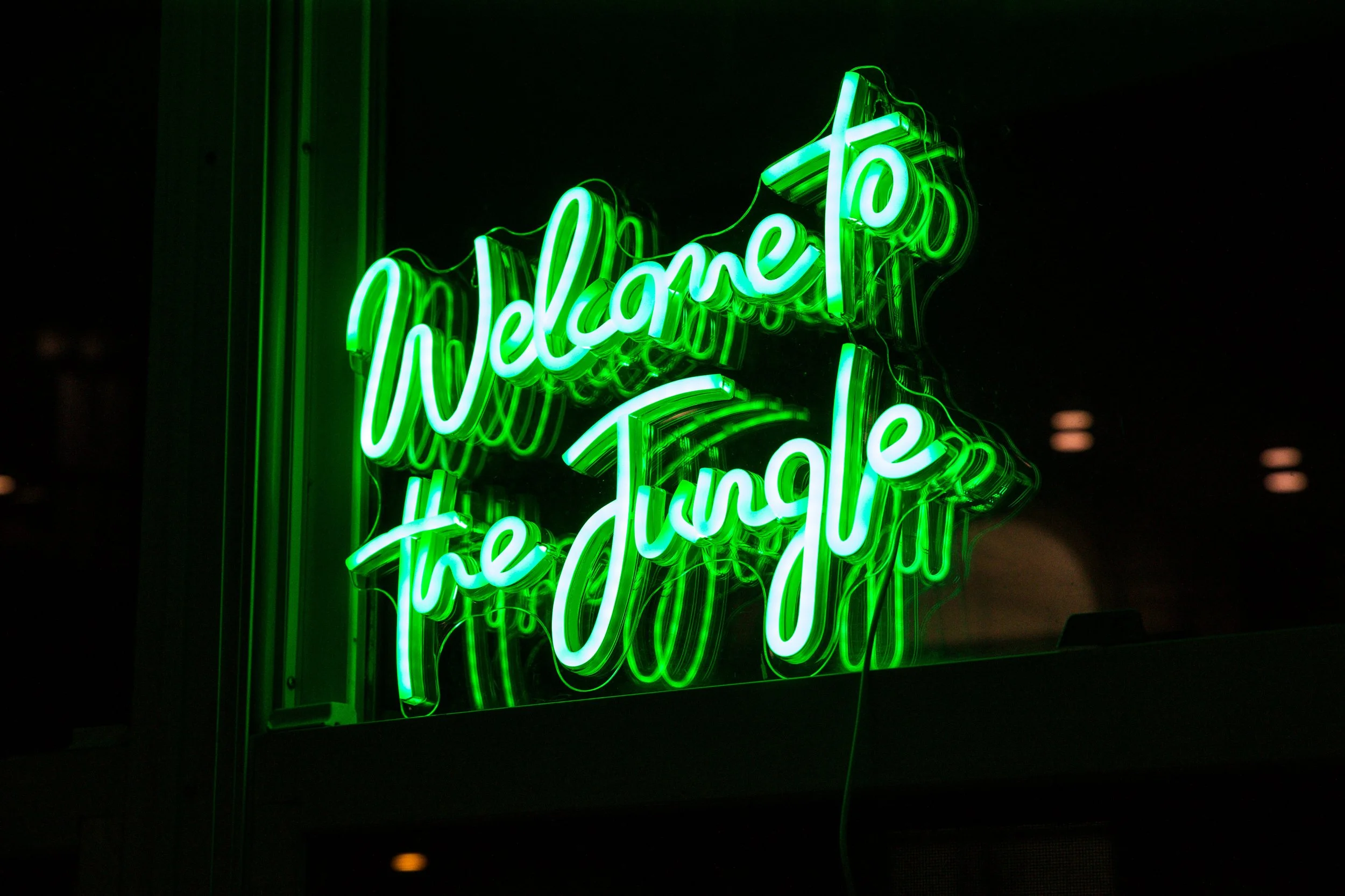 Welcome to the Jungle