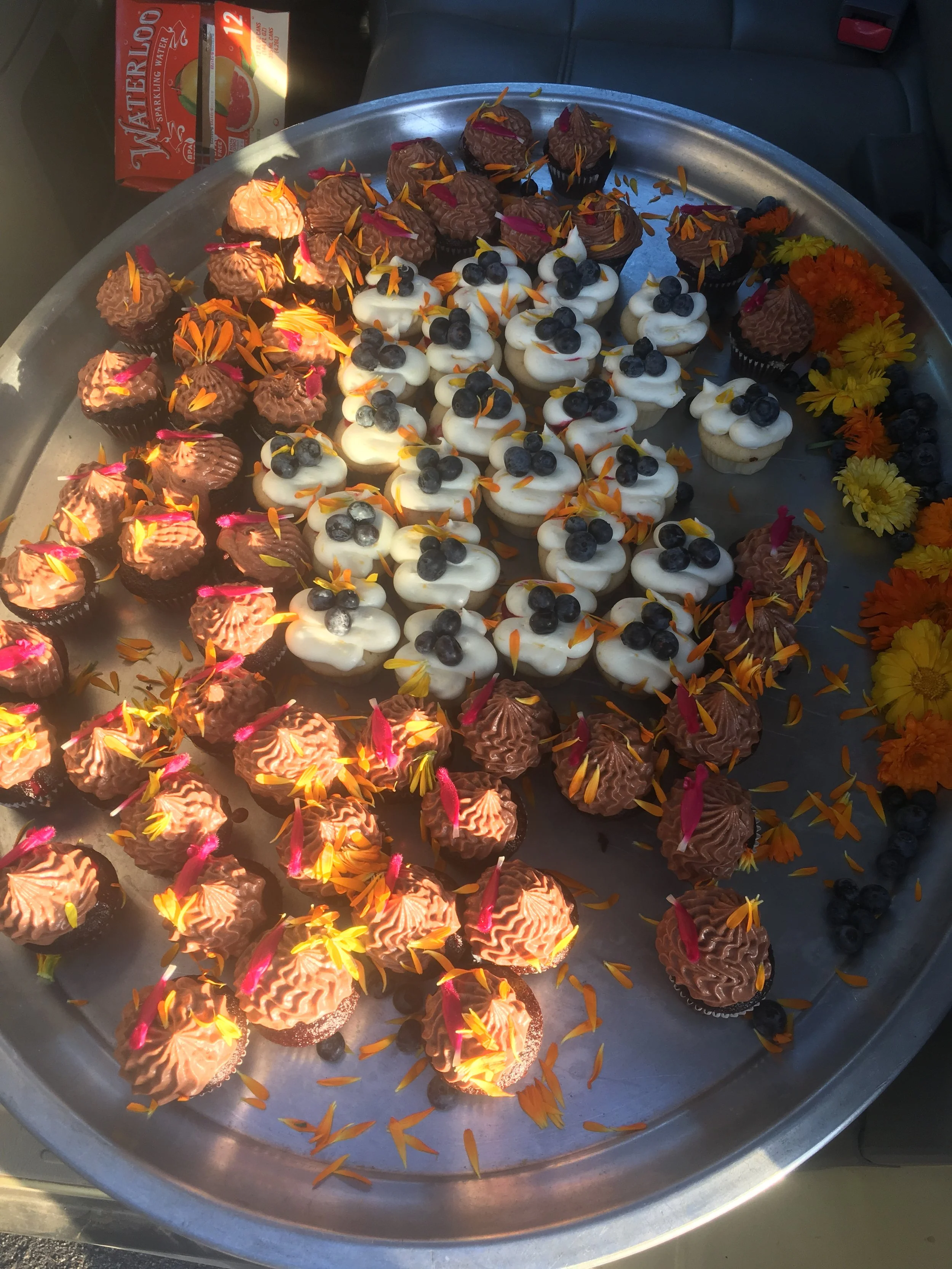 IMG_9935.JPG