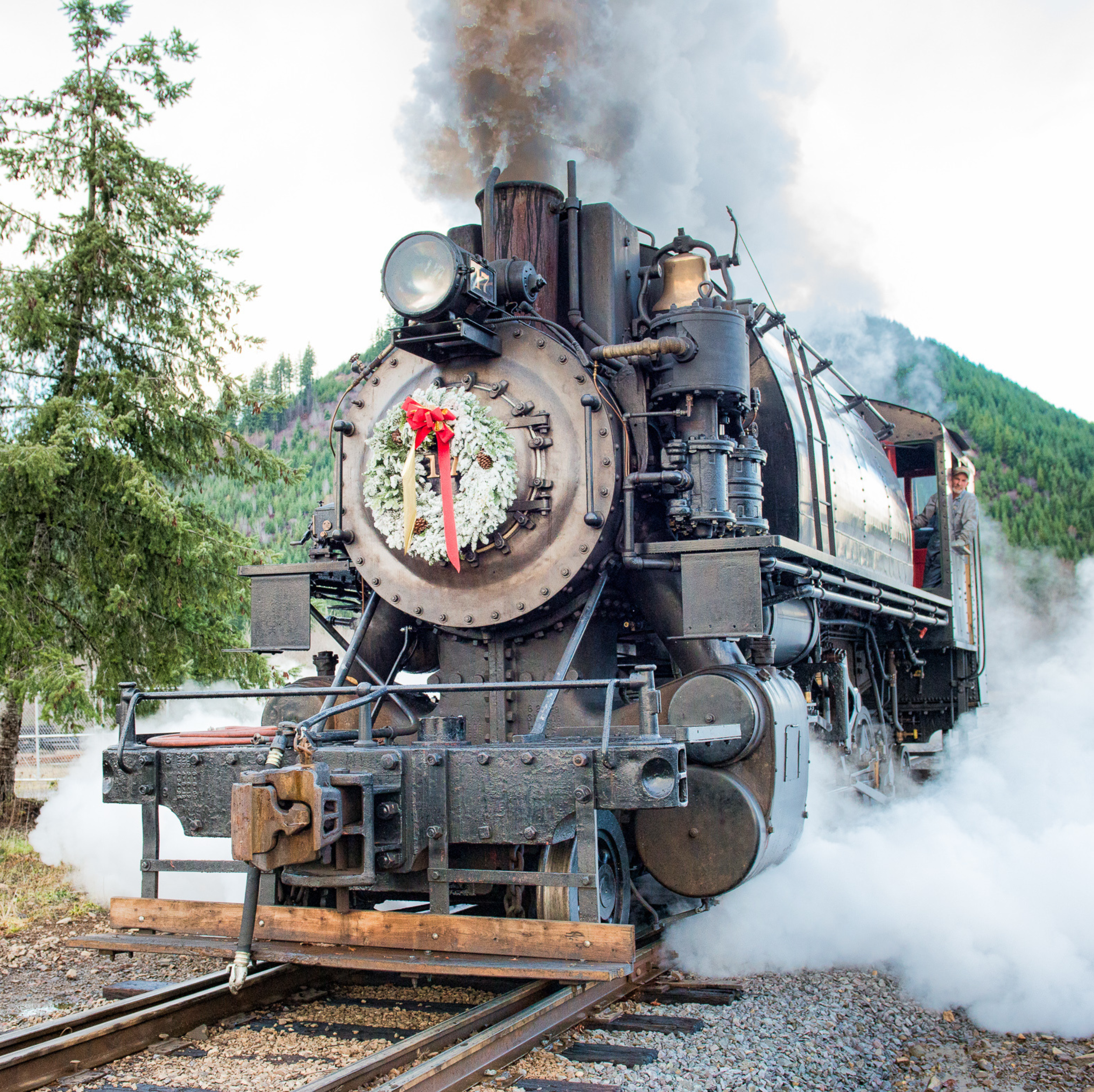 Mount Rainier Scenic Railroad back in operation sooner than predicted