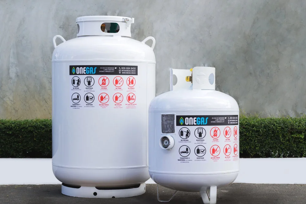 SERVICIOS ONEGAS — Onegas