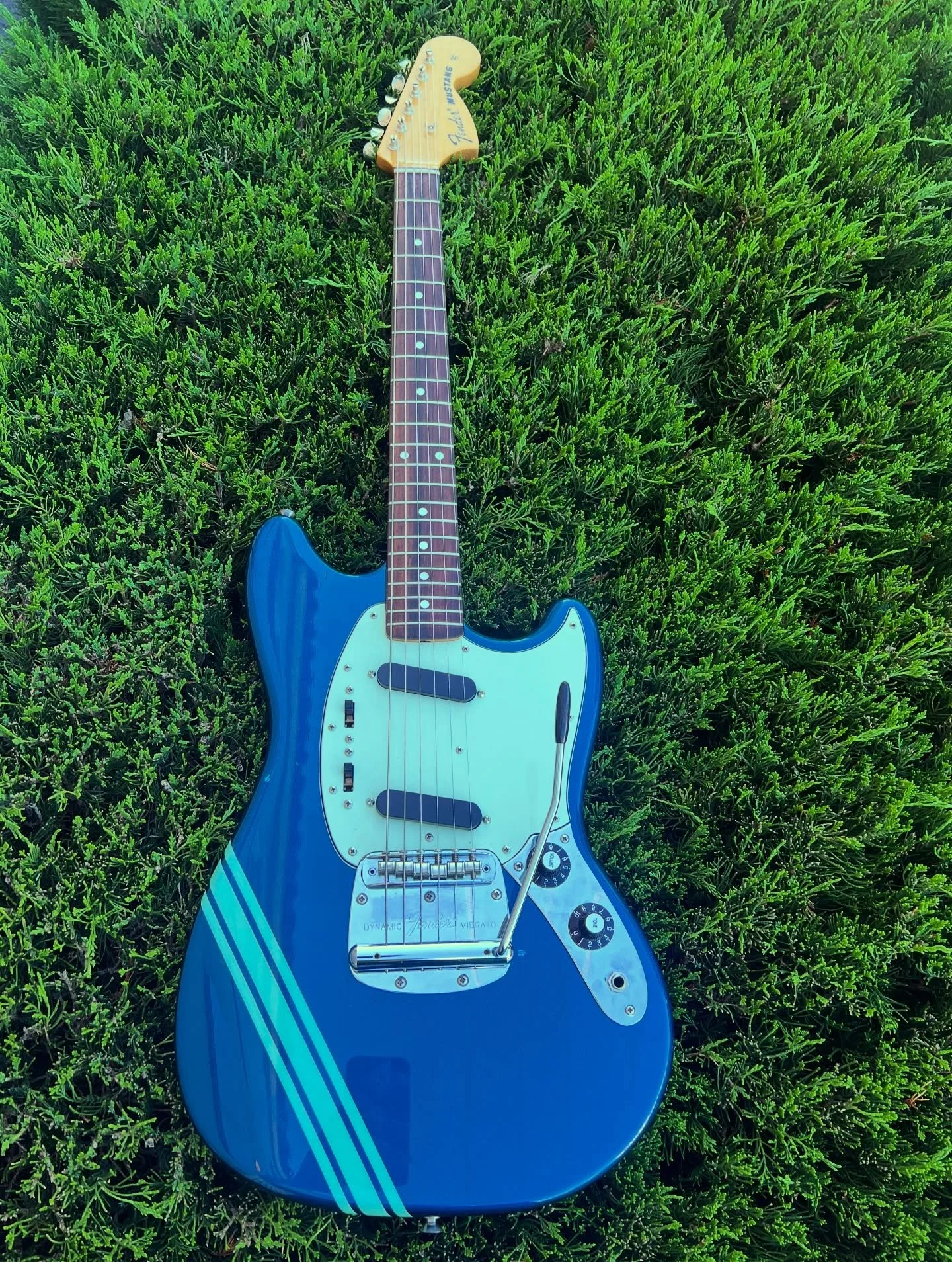This beautiful creature is hitting the wall. A killer MIJ @fender Mustang rocking some @curtis_novak_pickups Mustang pickups! Come play! #oaklandguitars #fender #fendermustang #curtisnovakpickups
