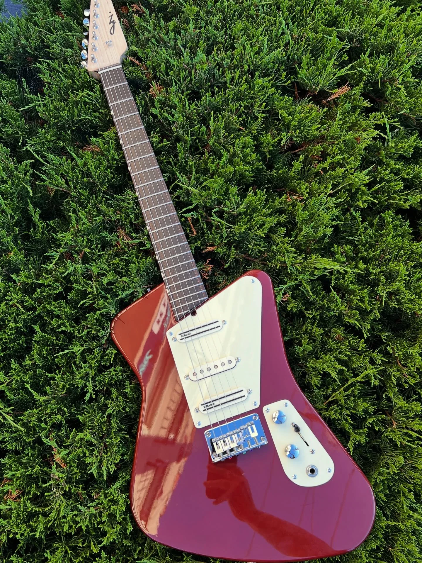 We are super excited to have a killer handmade @zoejetguitars Model Zero in the shop! Zoe Jet is a fantastic builder! Handmade guitars that play and sound amazing!!! We&rsquo;re stoked to have this on the wall! Come play it! #oaklandguitars #zoejetgu