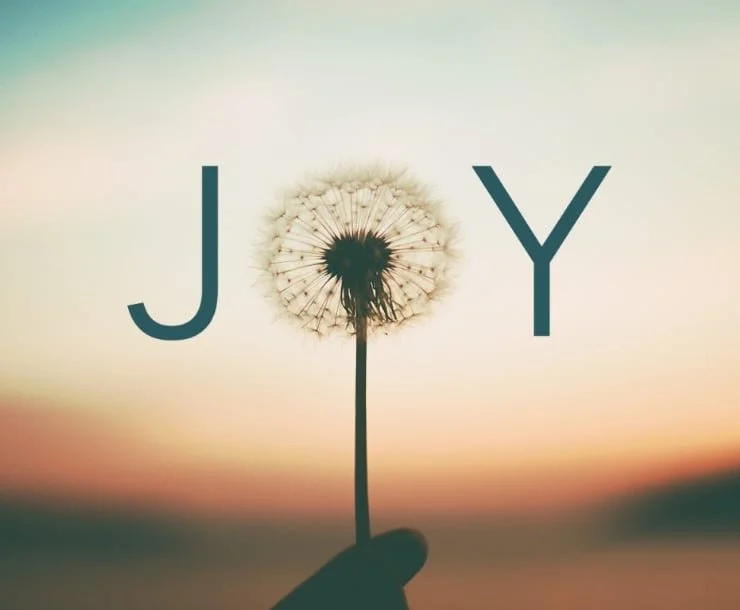 Finding Joy