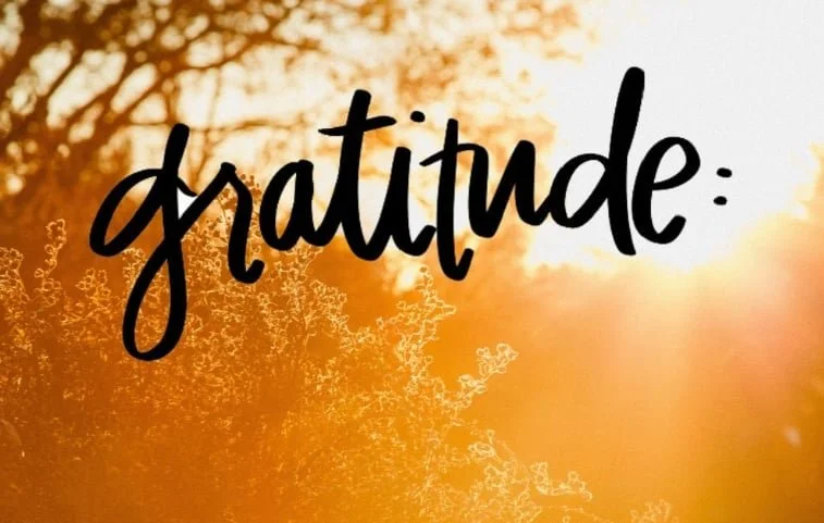 Gratitude