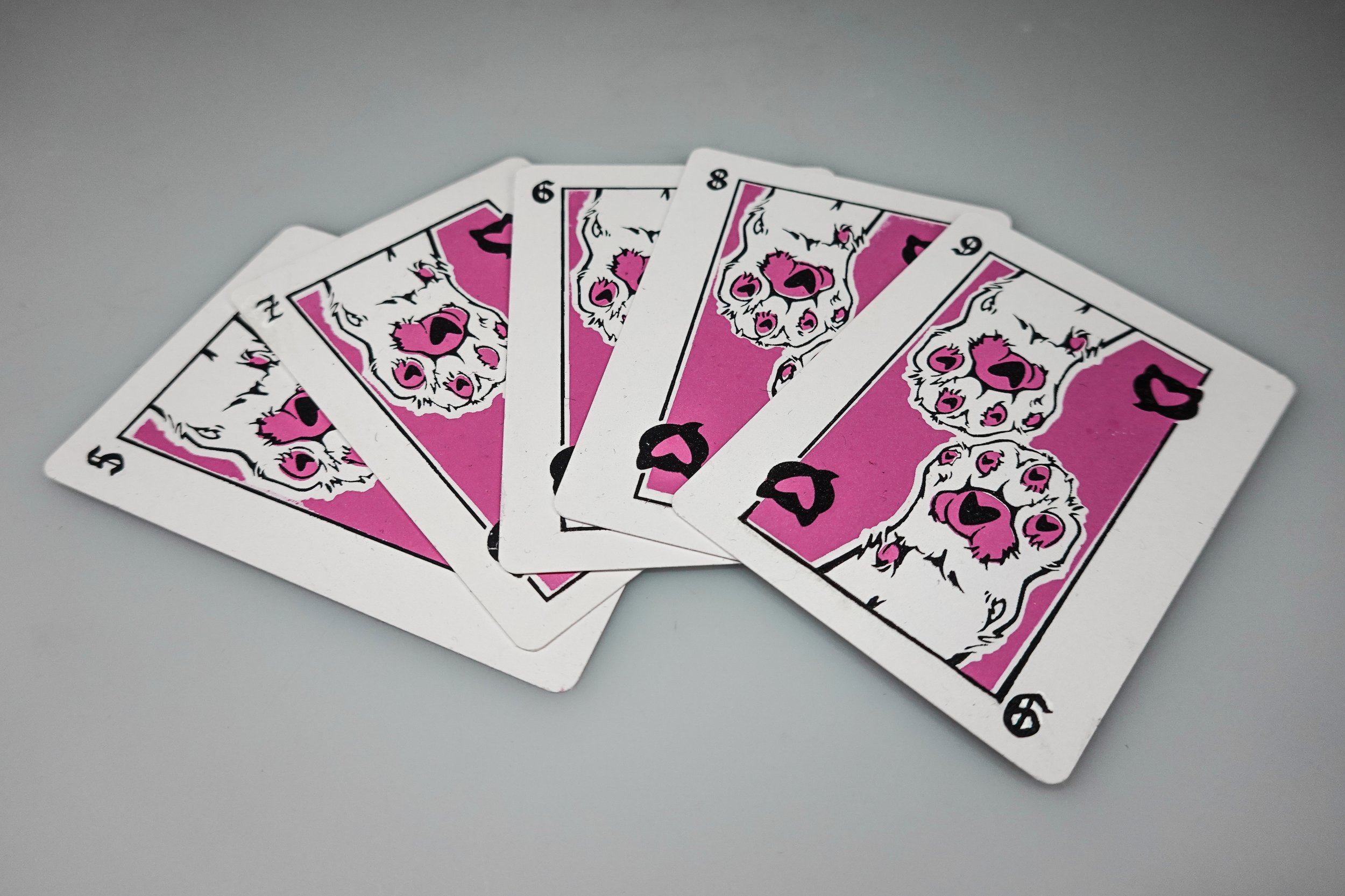 Cat Deck (11).jpg