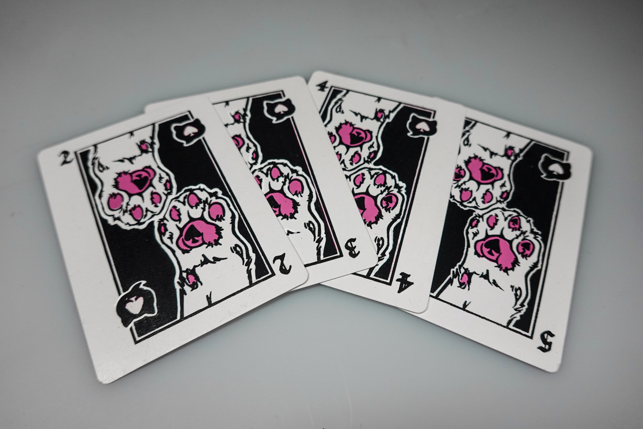 Cat Deck (12).jpg