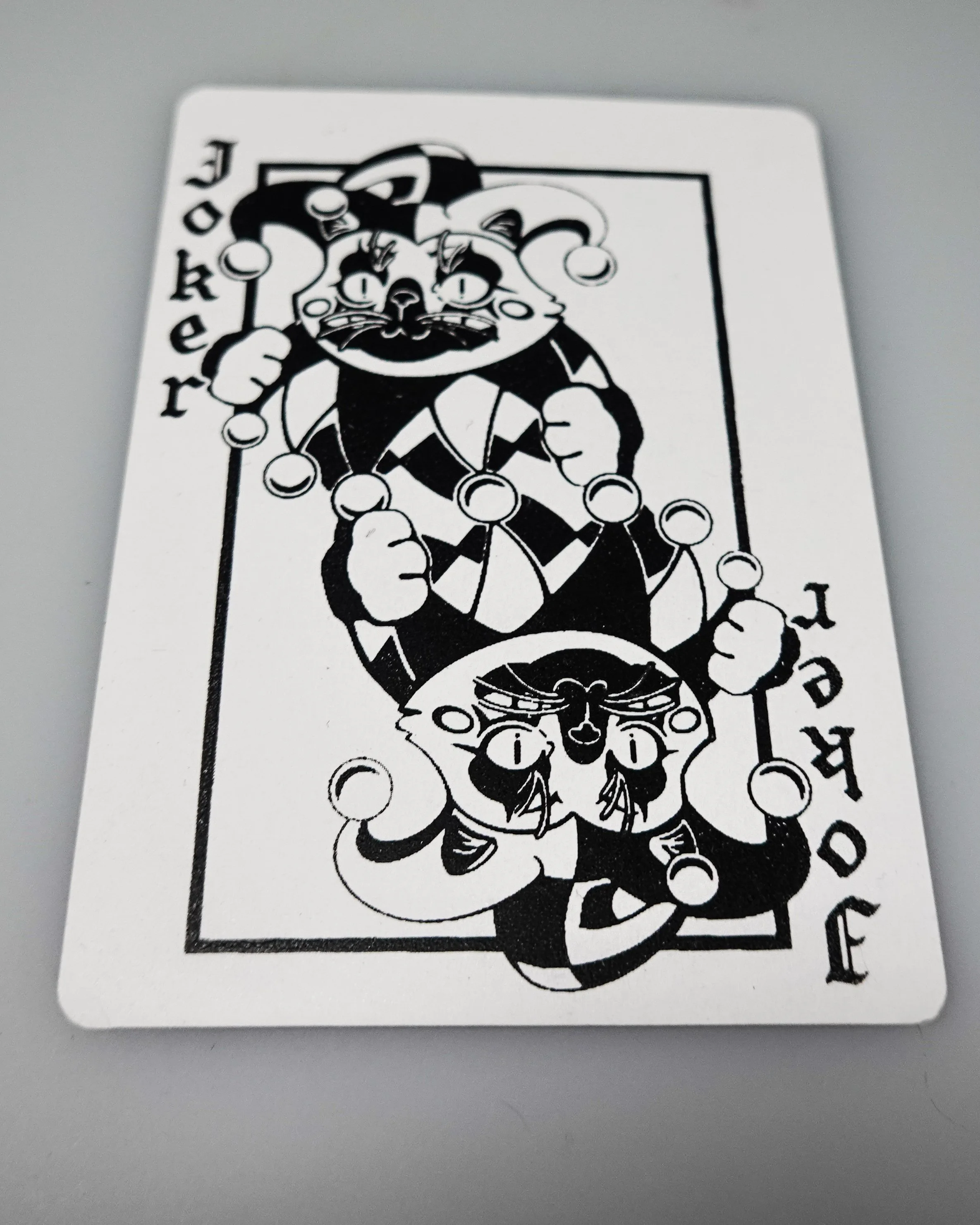 Cat Deck (9).jpg