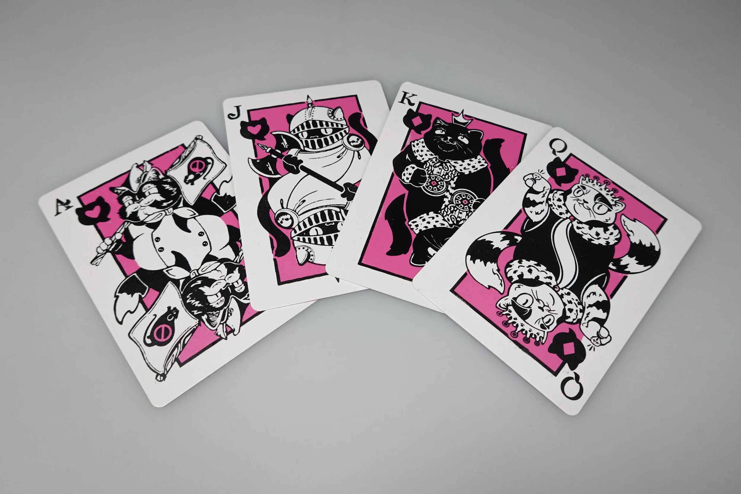 Cat Deck (8).jpg