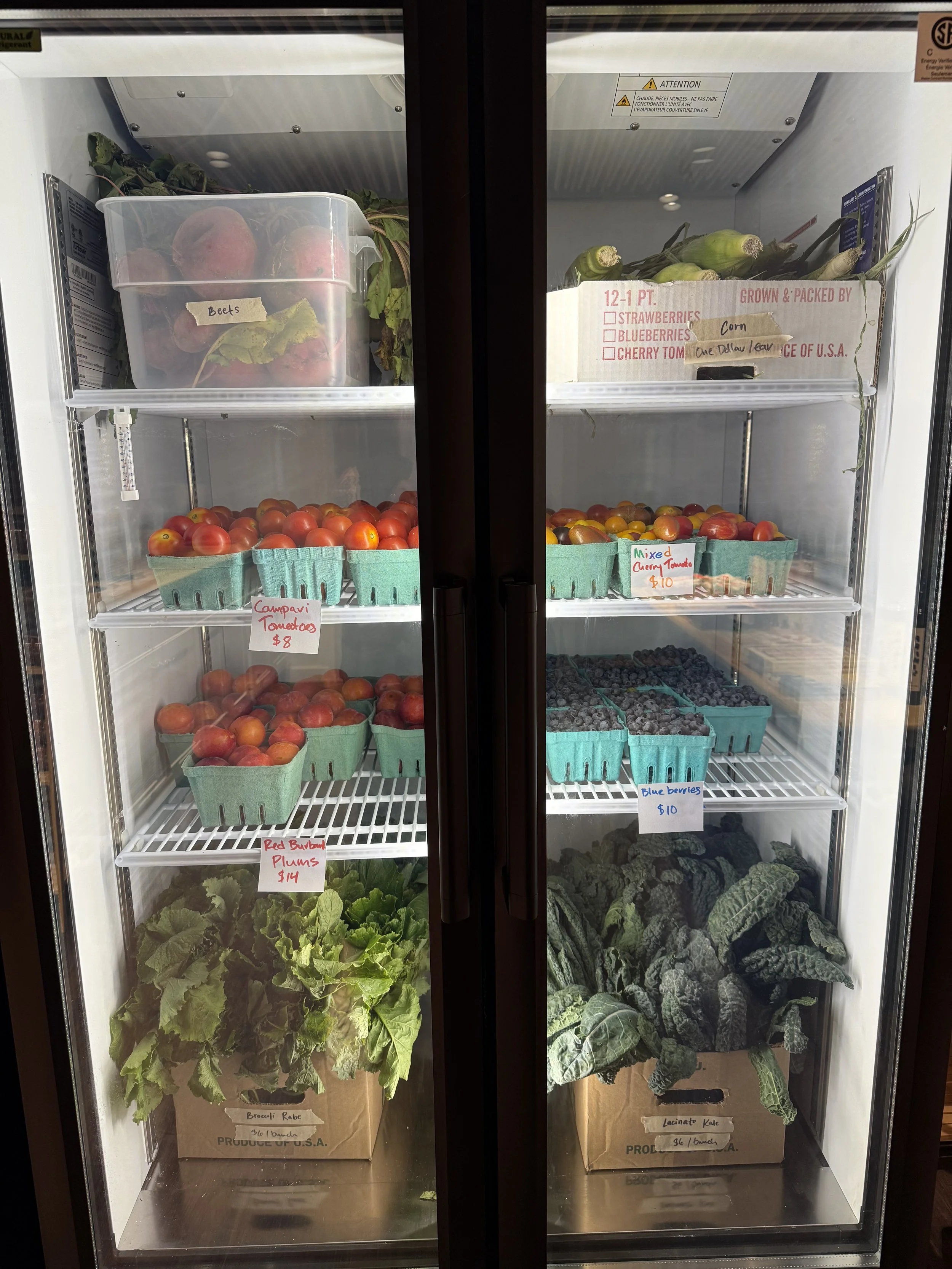 fridge3.jpg