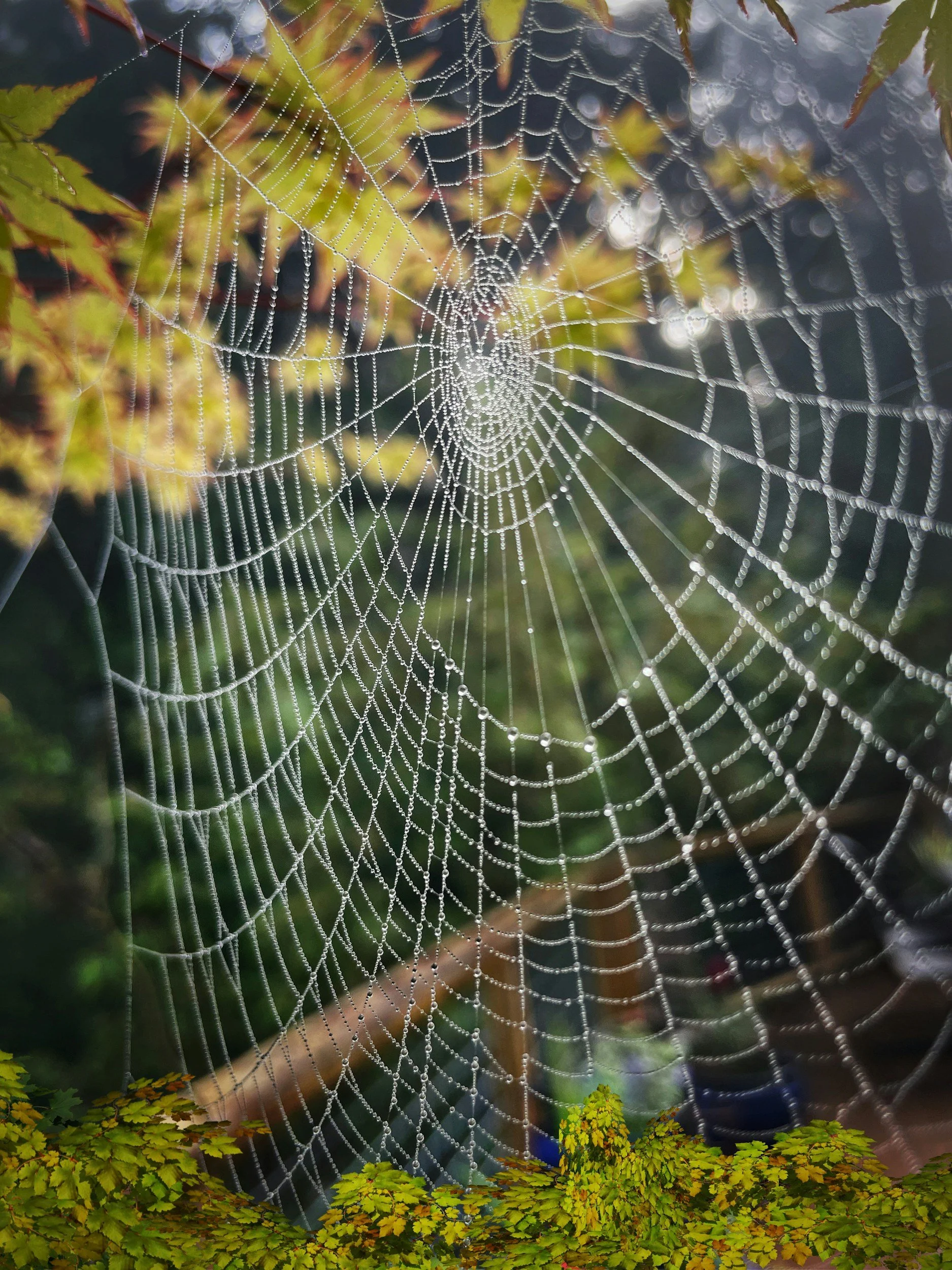 Patterns of deception