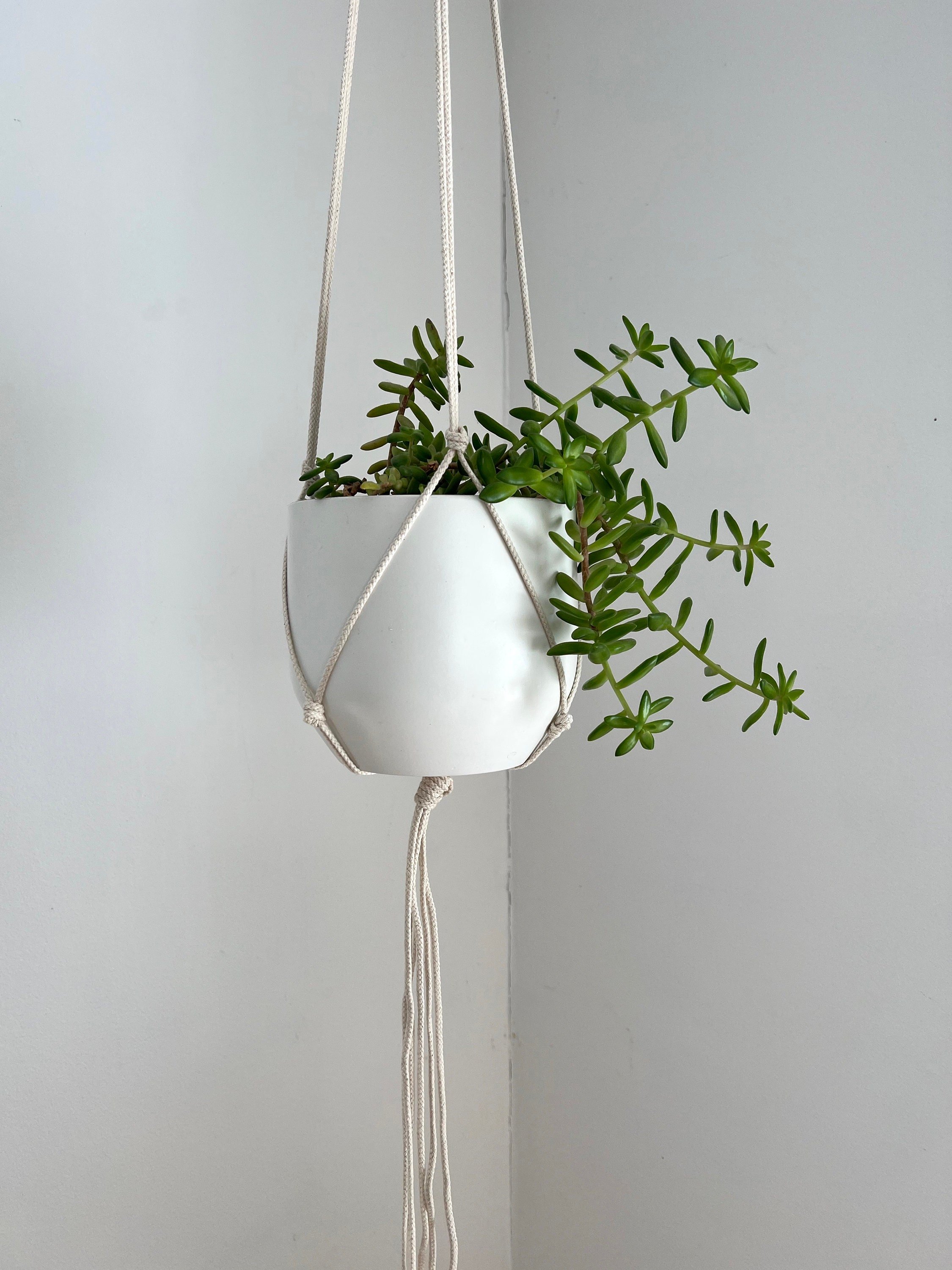https://i.etsystatic.com/6589759/r/il/c7fb62/3744275299/il_fullxfull.3744275299_shll.jpg