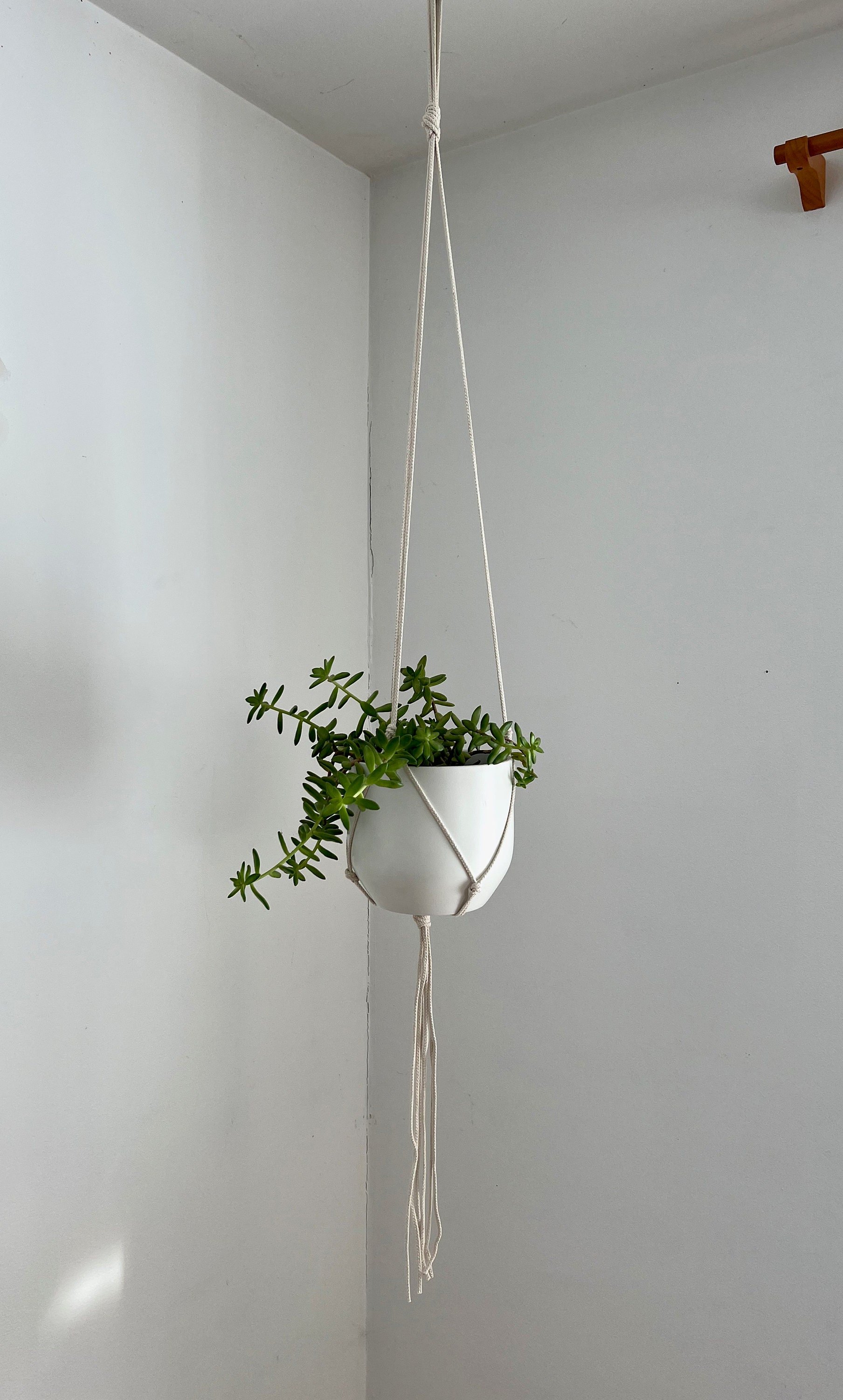 https://i.etsystatic.com/6589759/r/il/a5b616/3886187033/il_fullxfull.3886187033_au8v.jpg