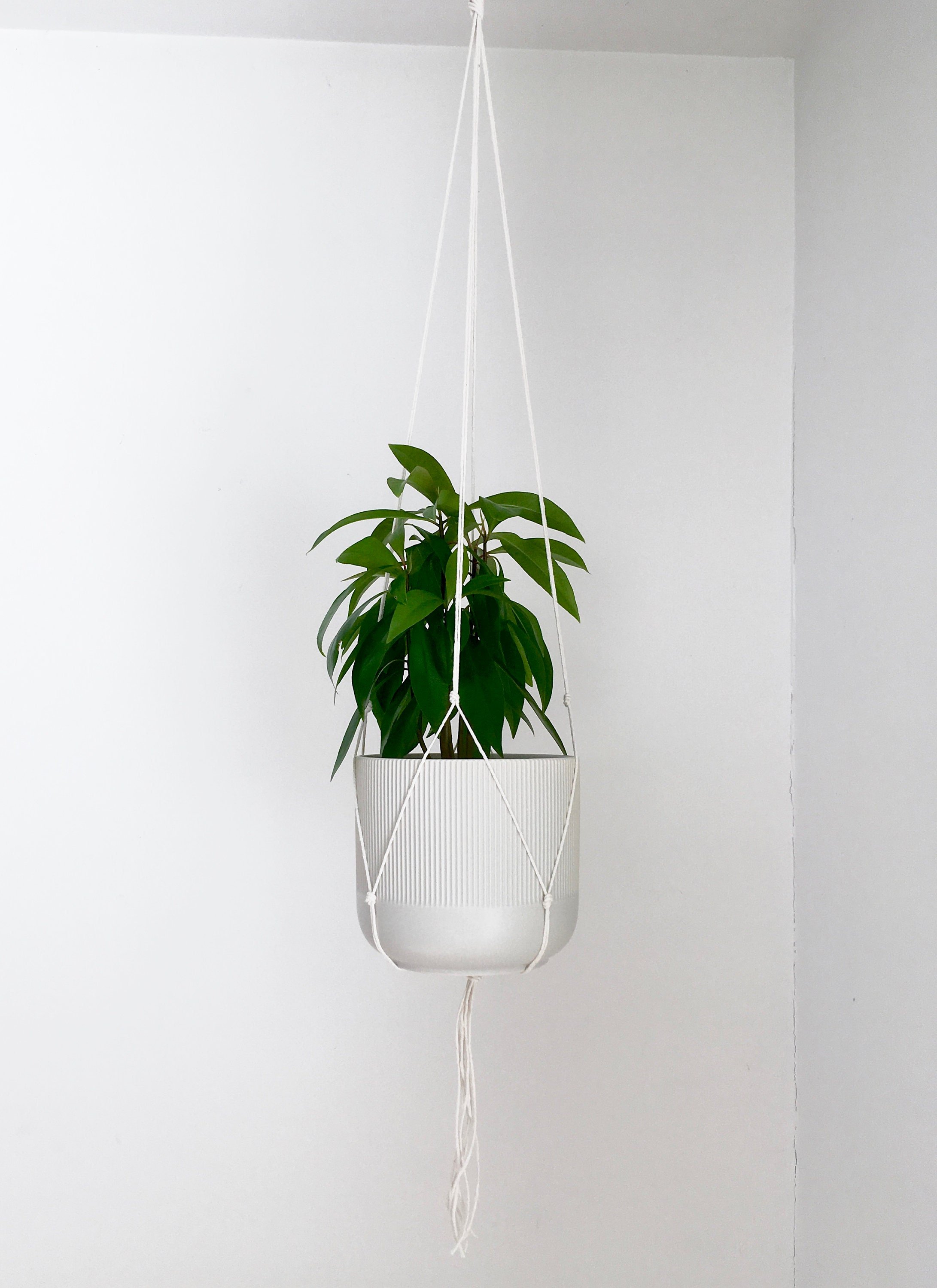 https://i.etsystatic.com/6589759/r/il/37068d/1825272046/il_fullxfull.1825272046_3lch.jpg