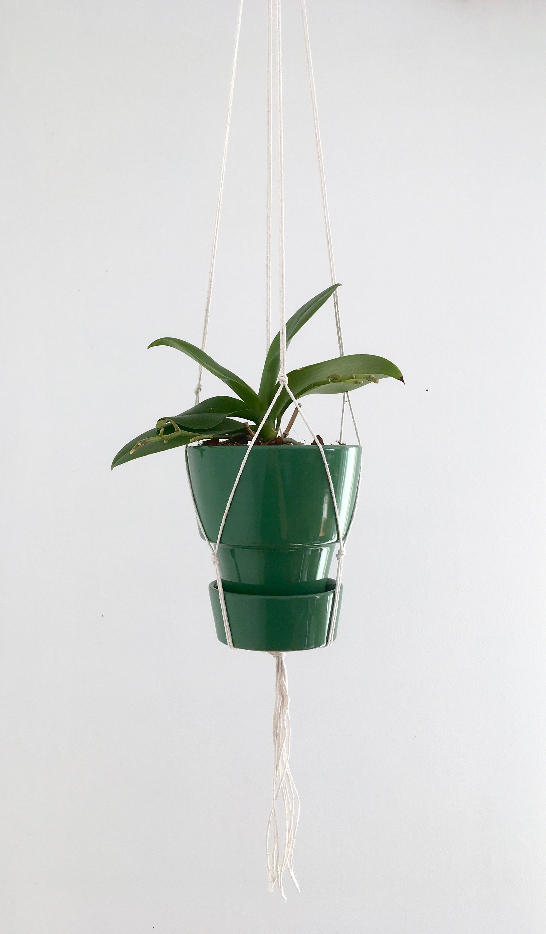 https://i.etsystatic.com/6589759/r/il/f36ee7/1825259588/il_fullxfull.1825259588_ggnr.jpg