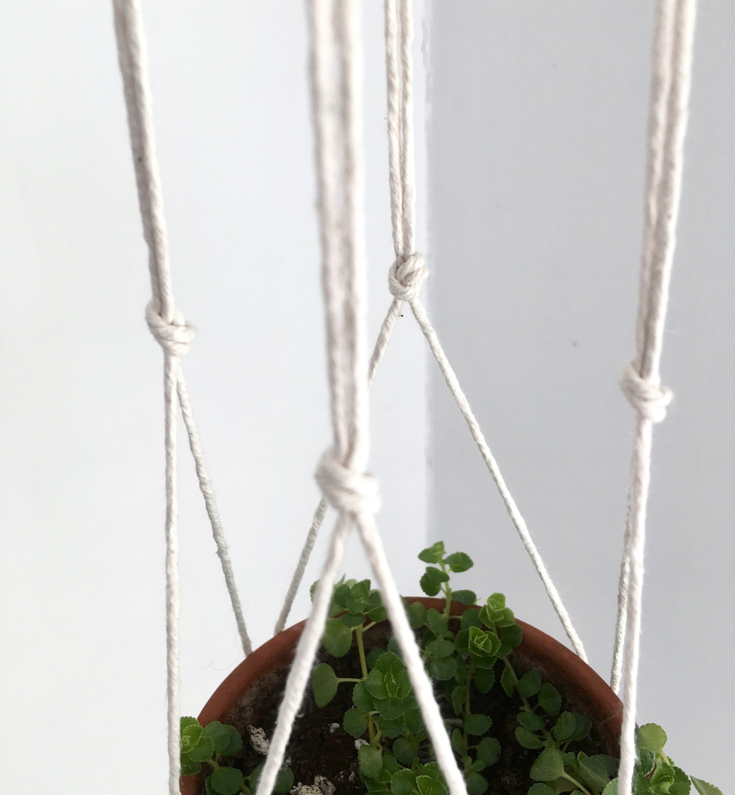 https://i.etsystatic.com/6589759/r/il/4cbe8f/1825260242/il_fullxfull.1825260242_bvyh.jpg