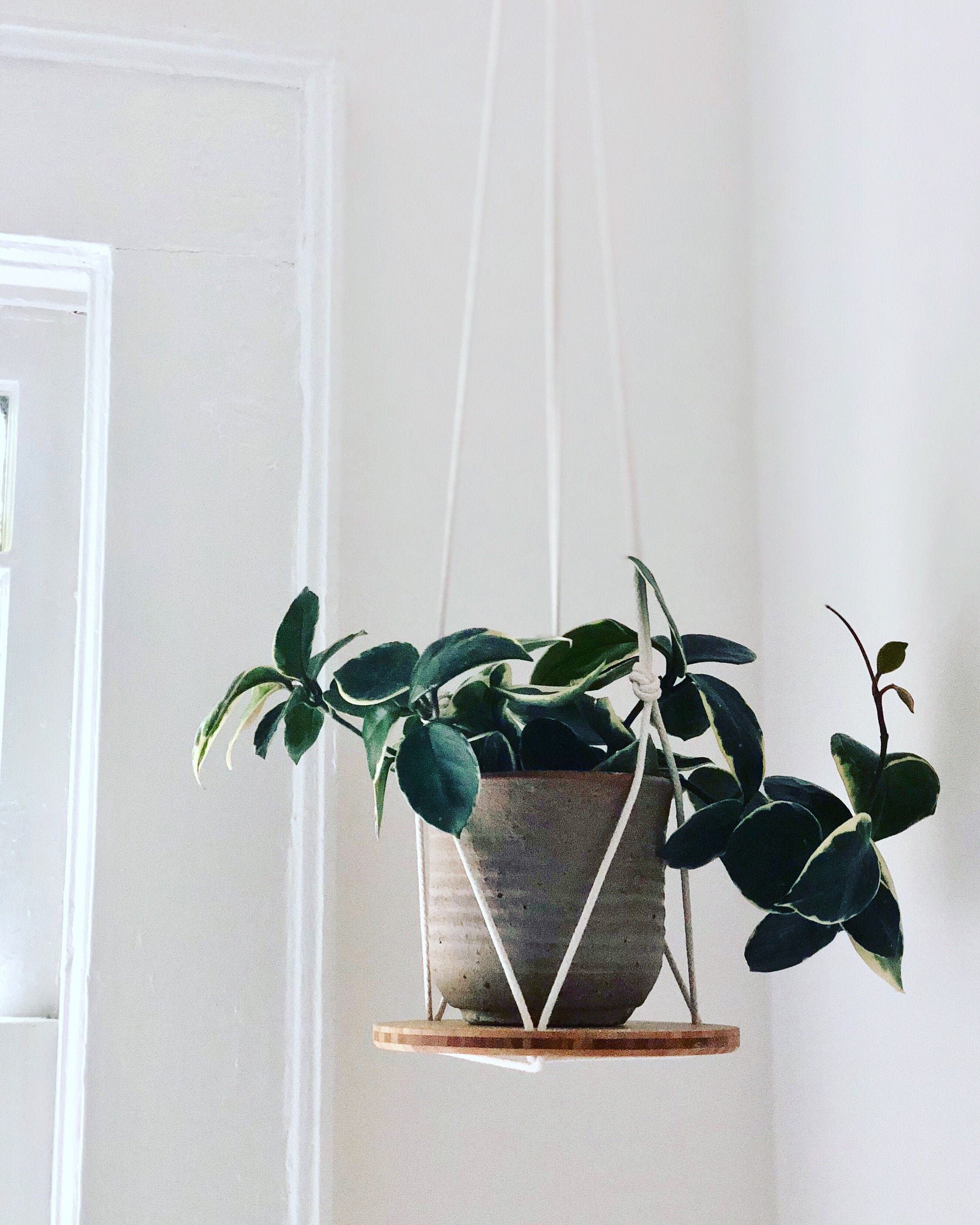 https://i.etsystatic.com/6589759/r/il/4711e6/2243714535/il_fullxfull.2243714535_hc7f.jpg