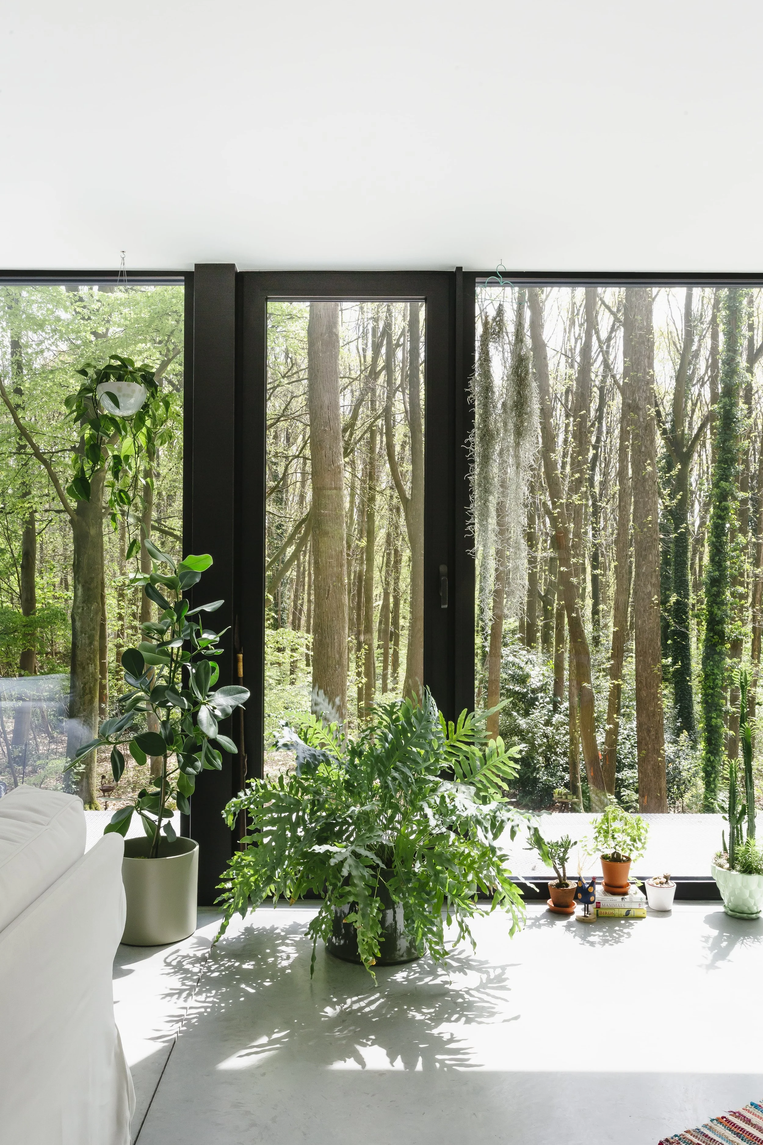 Binnenruimte met grote ramen die uitkijken op een bos met bomen. Binnen staan verschillende groene planten en zijn er kleine decoratieve objecten op een wit oppervlak.