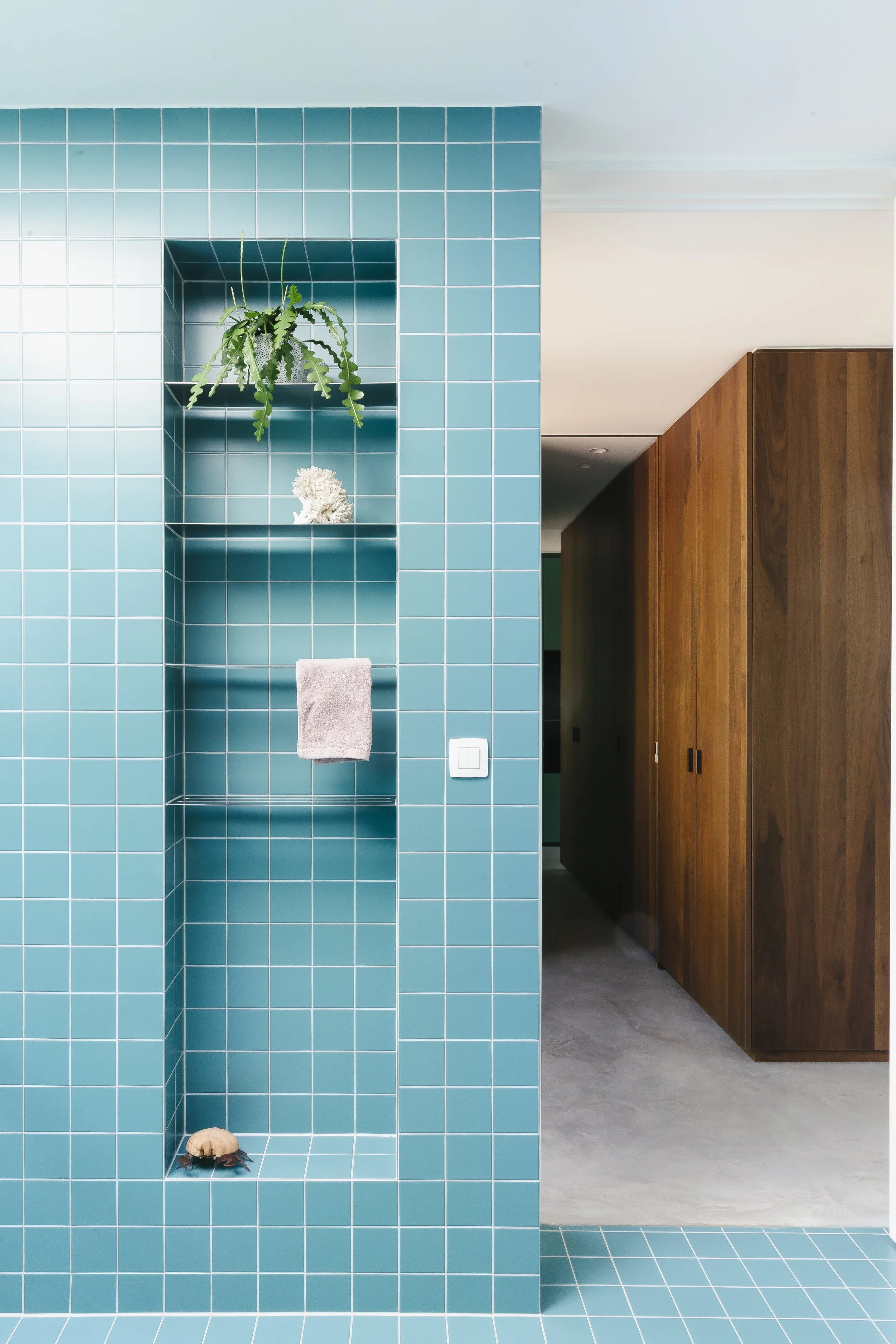 Detail van een blauwe betegelde wand met inbouwplanken, een handdoek en een schildpad op de vloer. In de achtergrond een houten kast en een deur in een interieur.