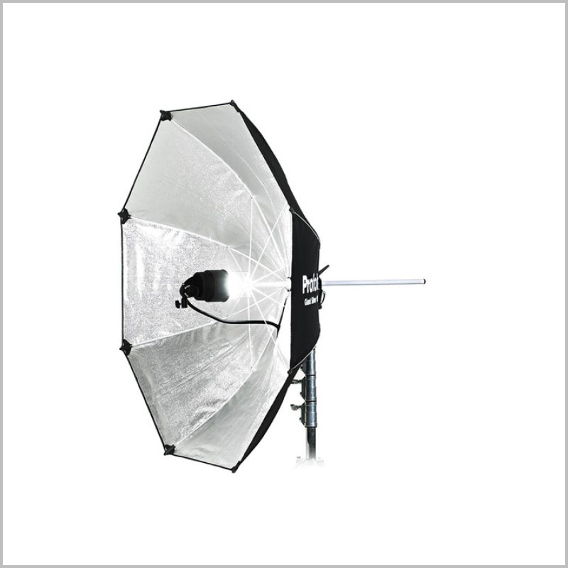 Profoto Giant Umbrella, Silver - 5' (150 cm).jpg