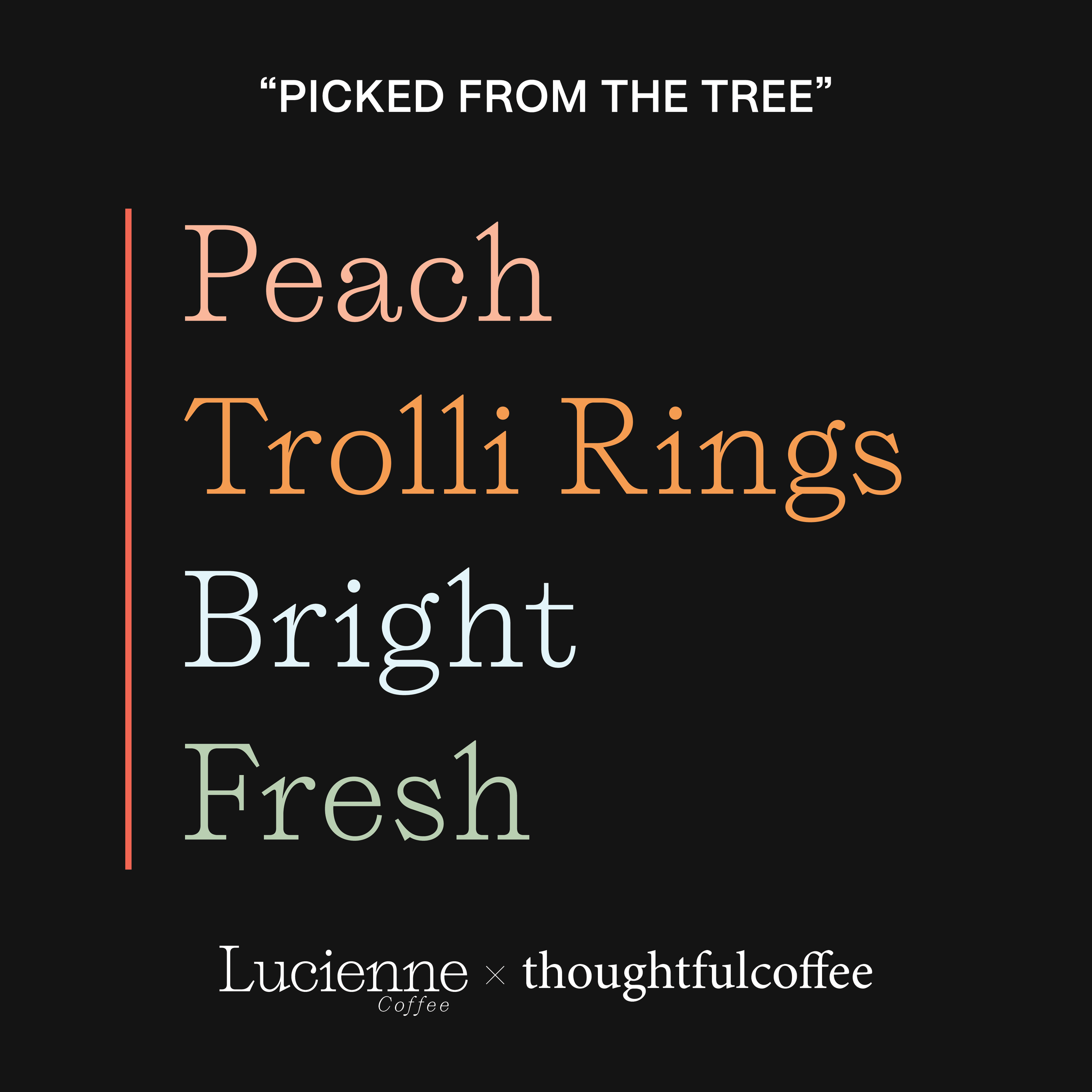 T010CO thumbnail.png