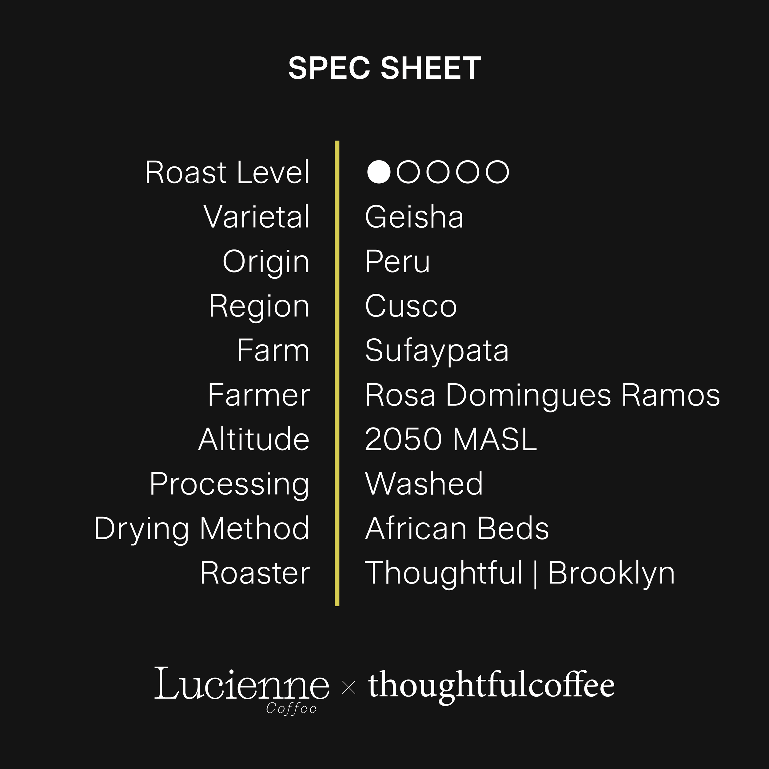 T013PE-XX spec sheet.png