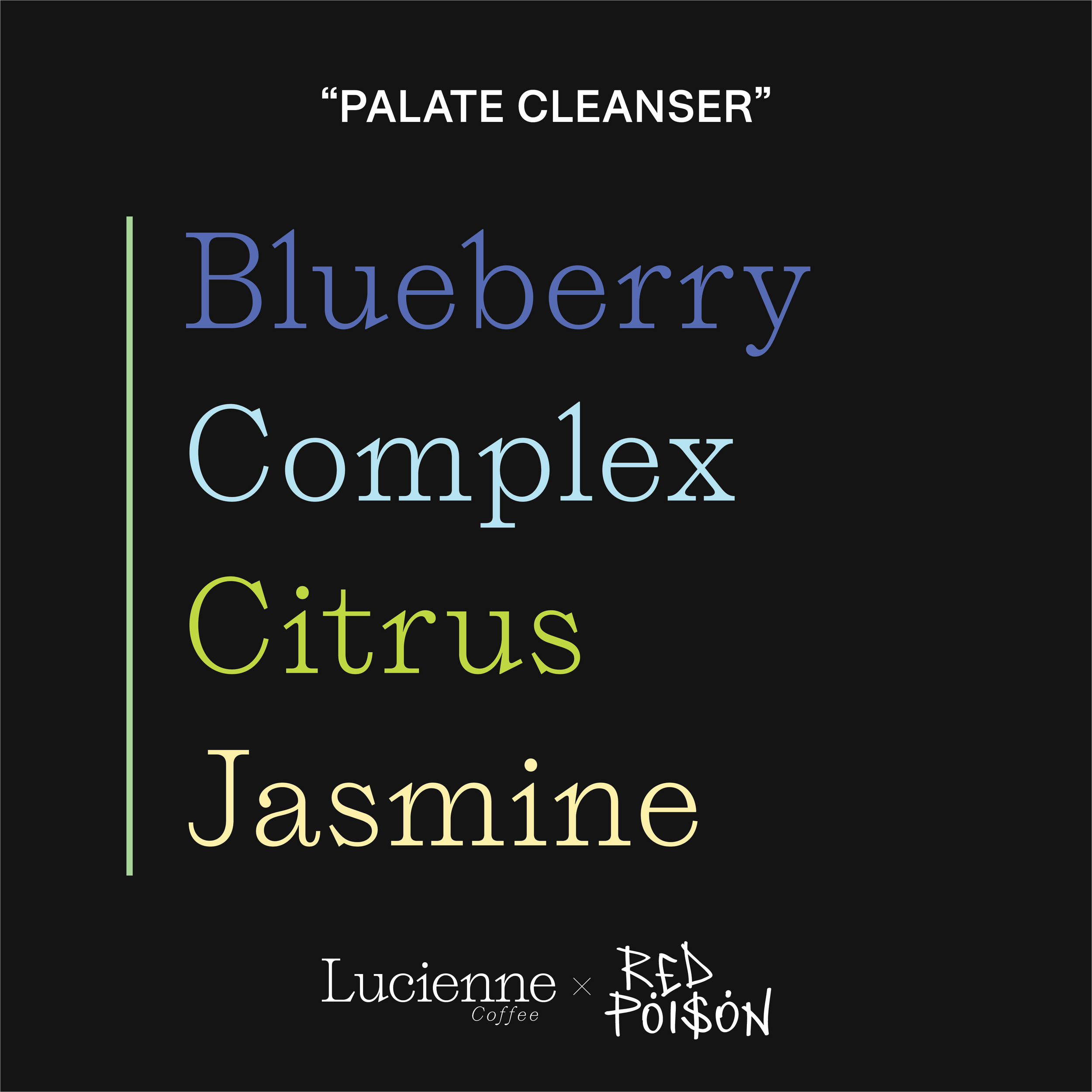 Nardos Dimtu ToH #1 Washed Heirloom