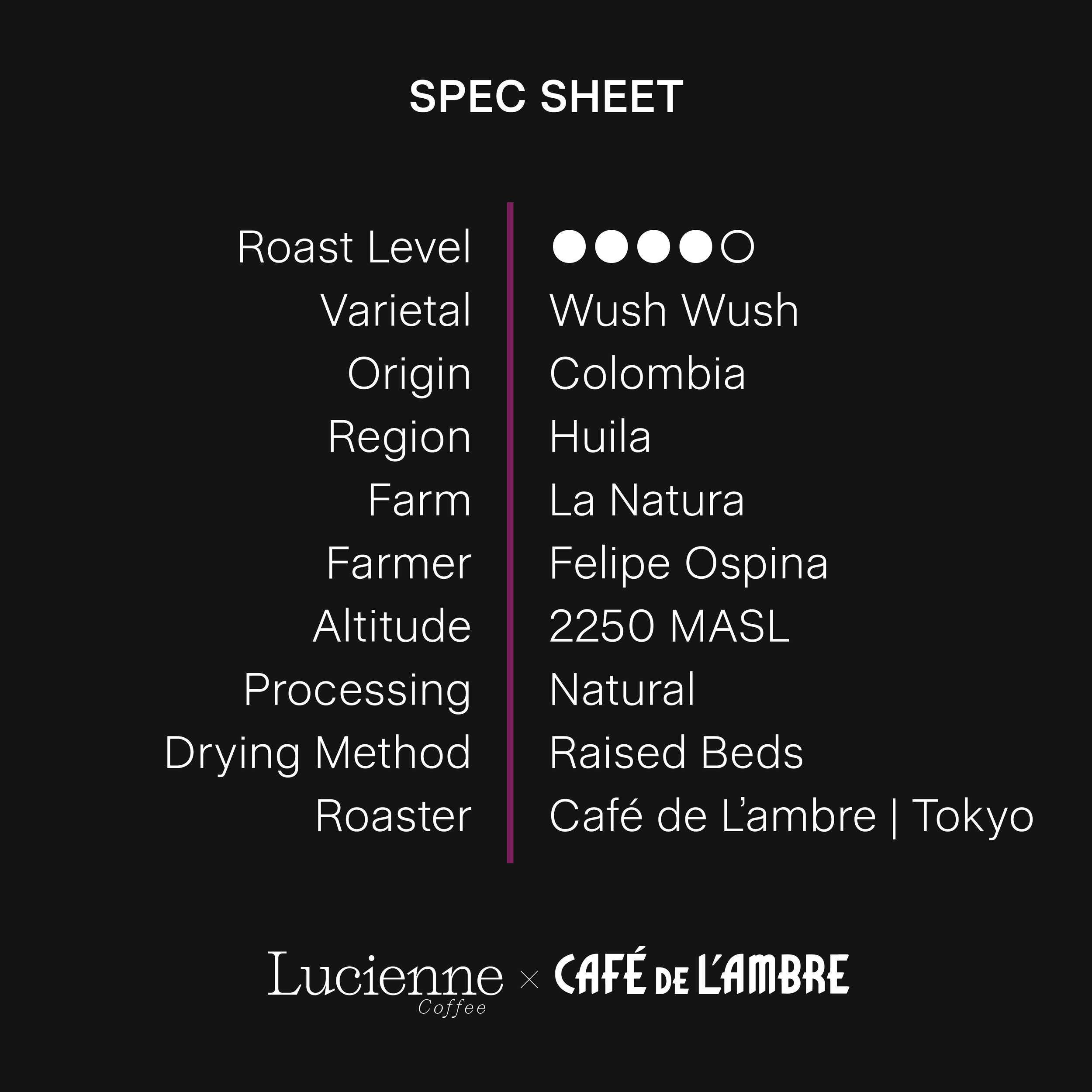 CDL001CO-XX spec sheet v1.png