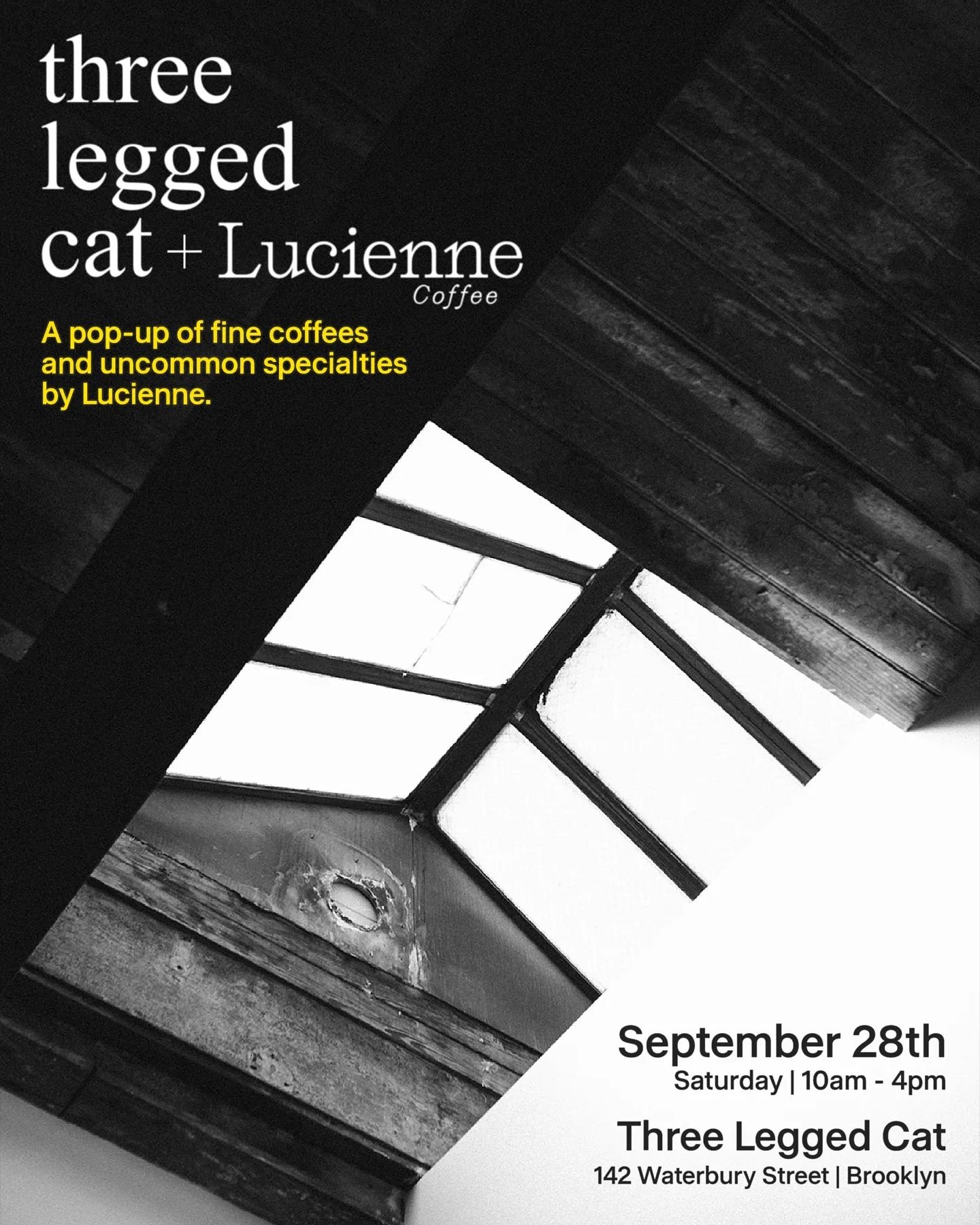 Yo!

We'll be taking over the bar at @threeleggedcatbk on Saturday, September 28th, serving exotic coffees and making signature drinks. Stop in between 10am - 4pm and hang out in 3LC's gorgeous new space!

We'll have coffee roasted by Lucienne, @glit