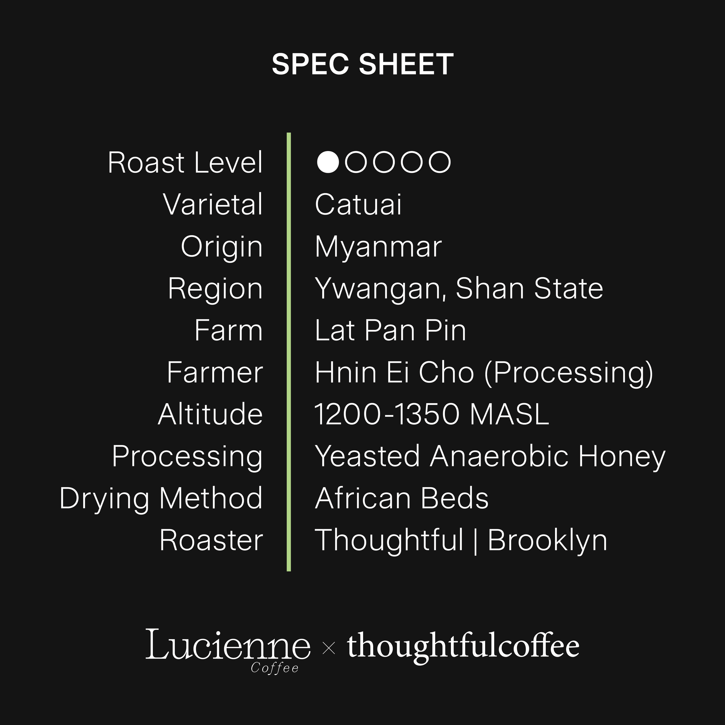 T005MM spec sheet.png