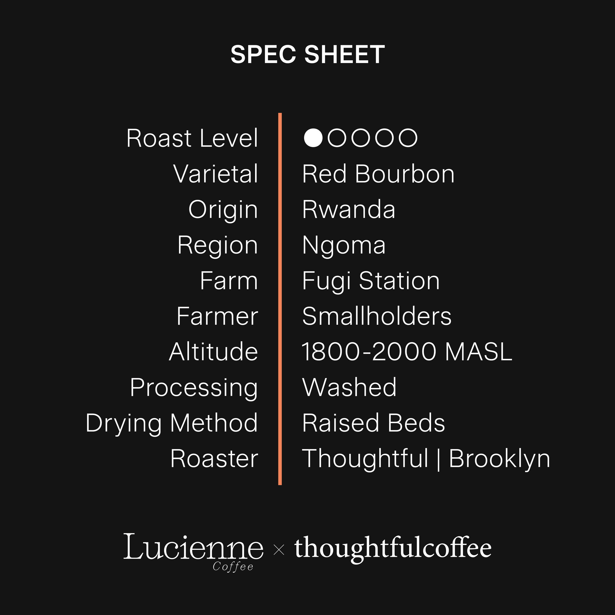 T019RW-XX spec sheet.png