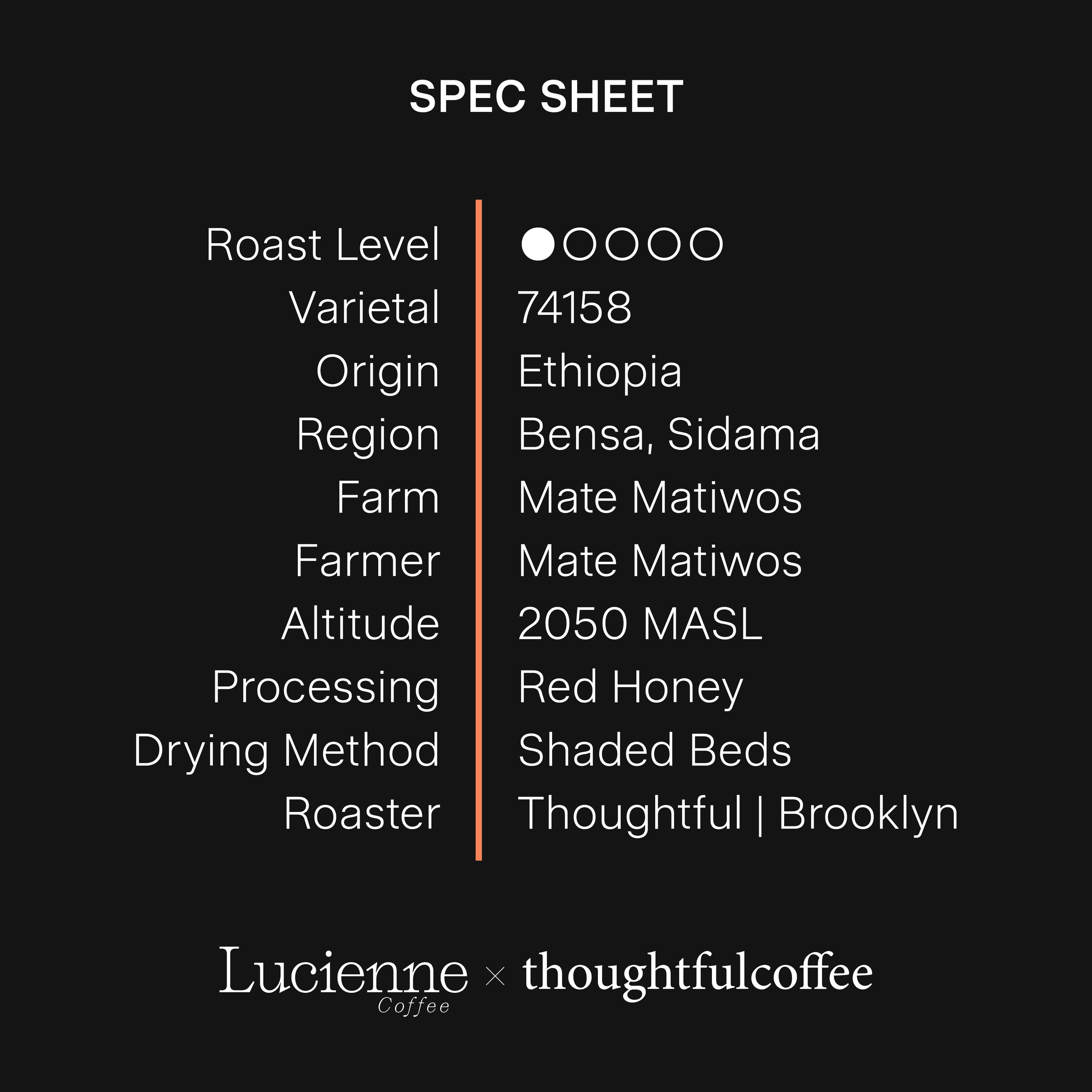 T016ET-XX spec sheet.png