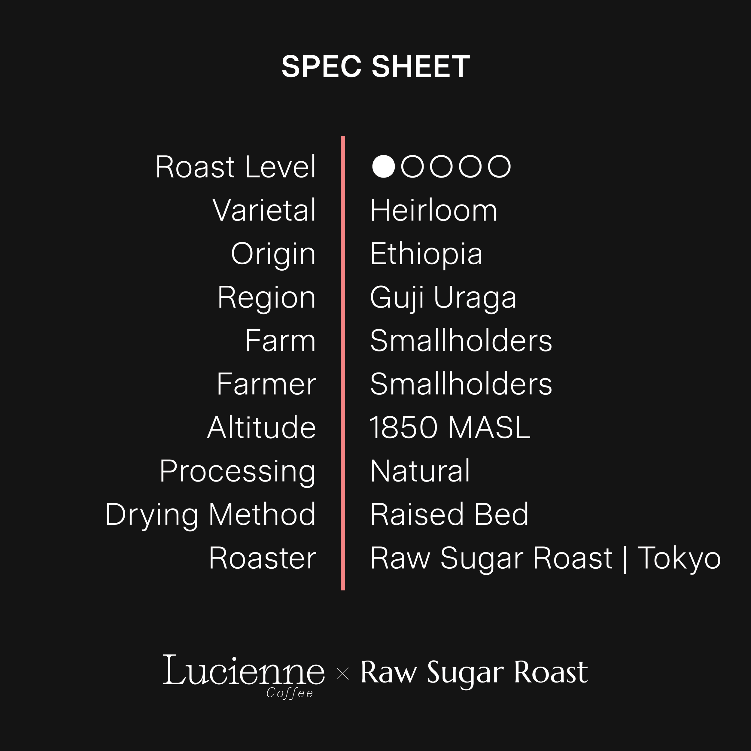 S020ET spec sheet v1.png