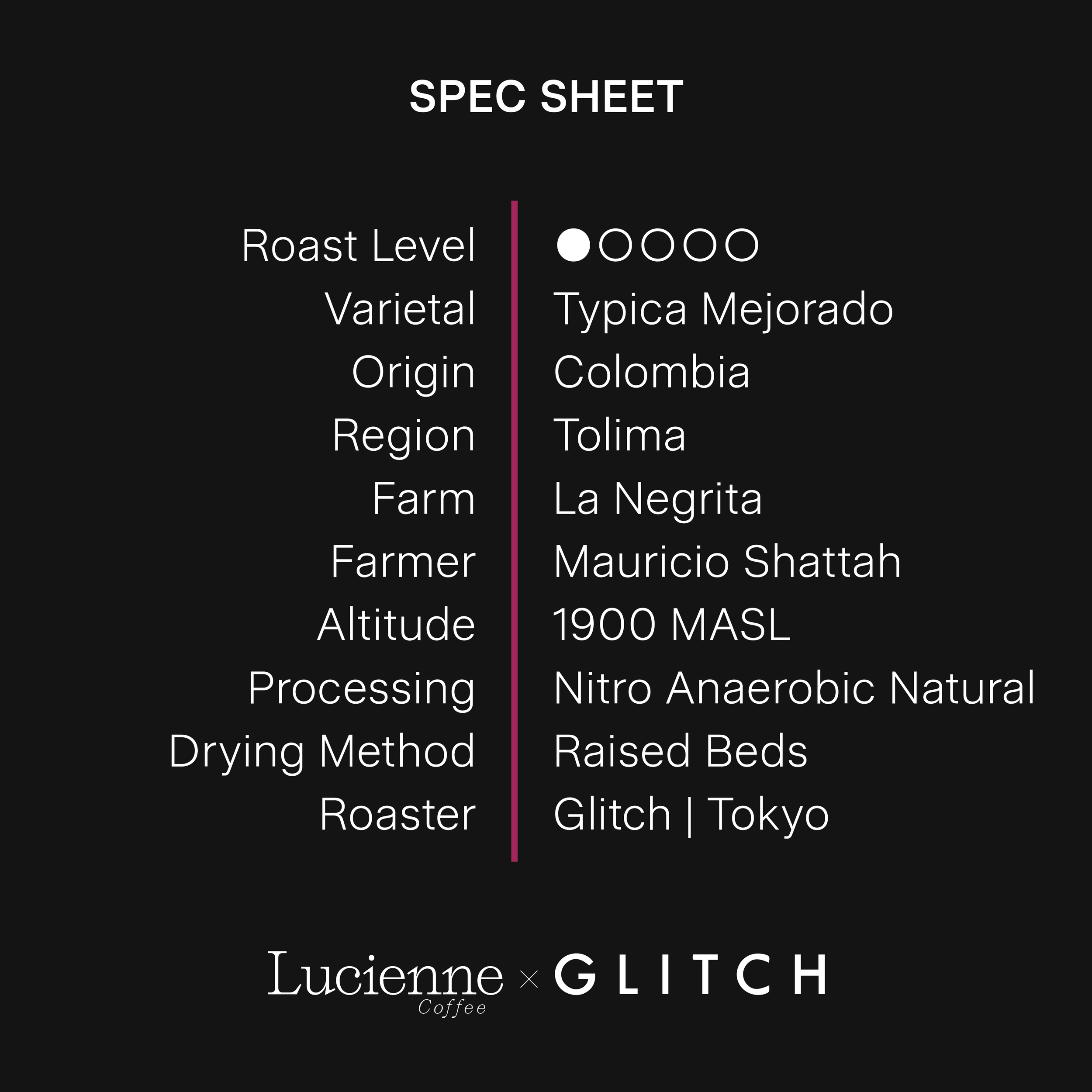 G110CO-XX spec sheet v1.png