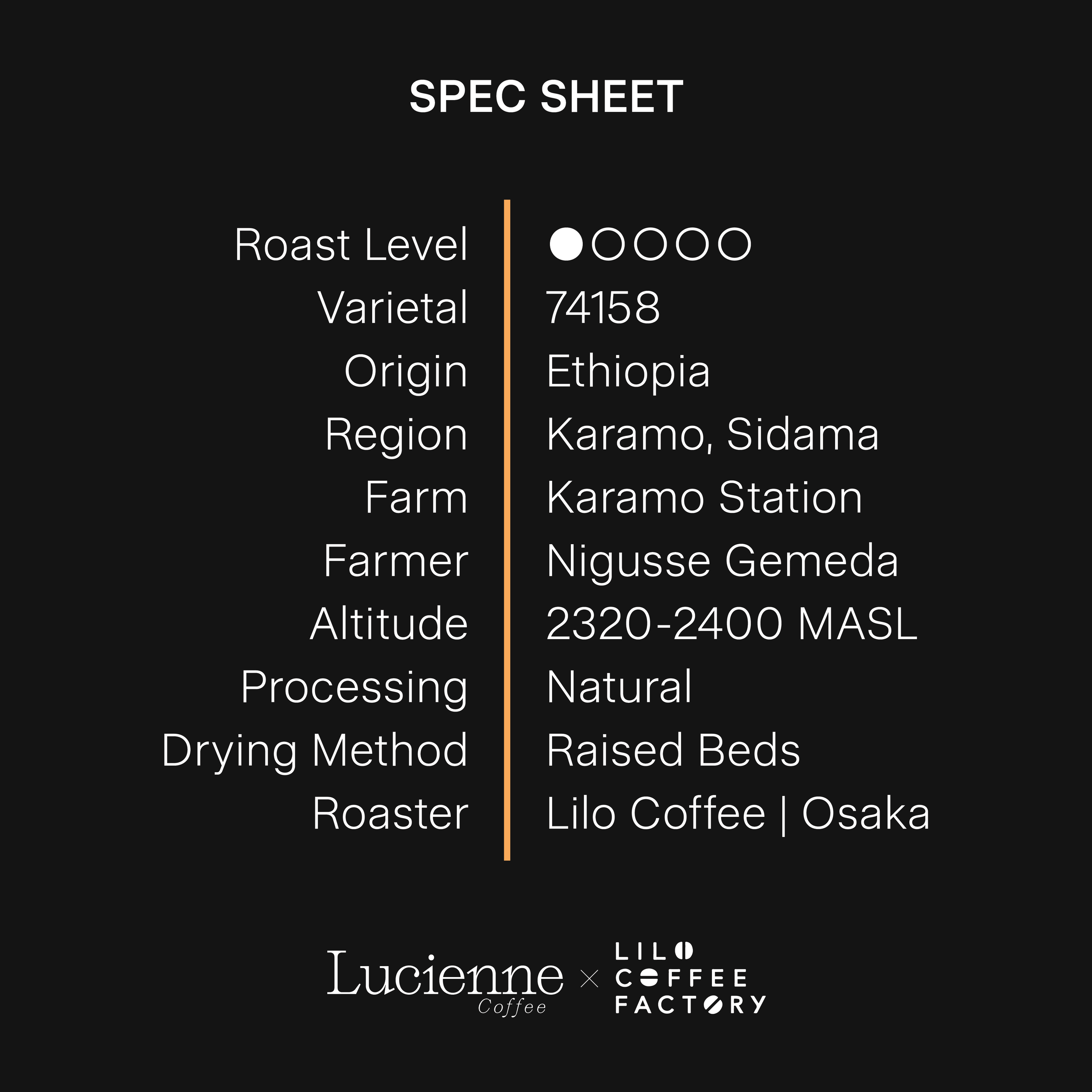 L022ET spec sheet v1.png