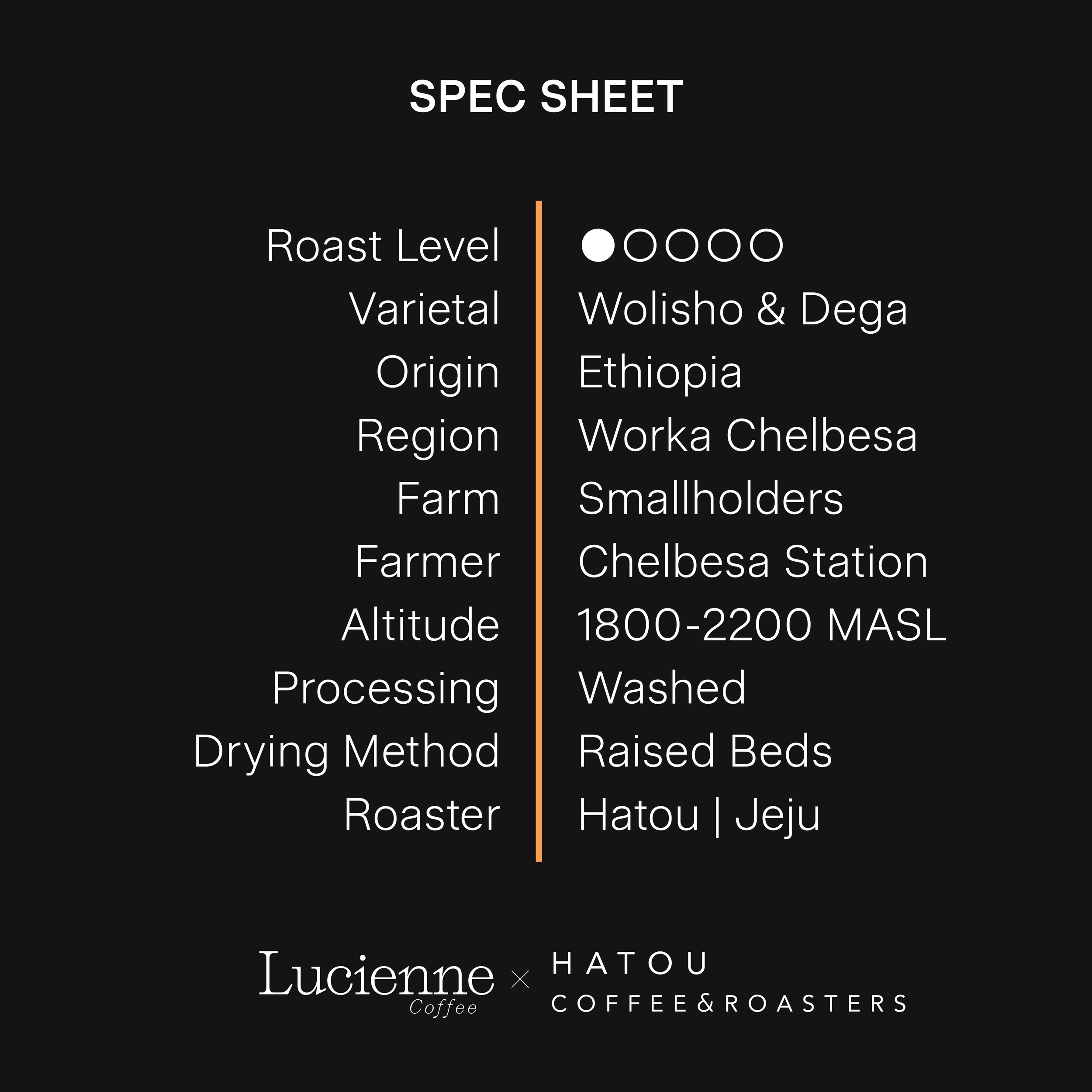 H015ET-XX spec sheet v1.png