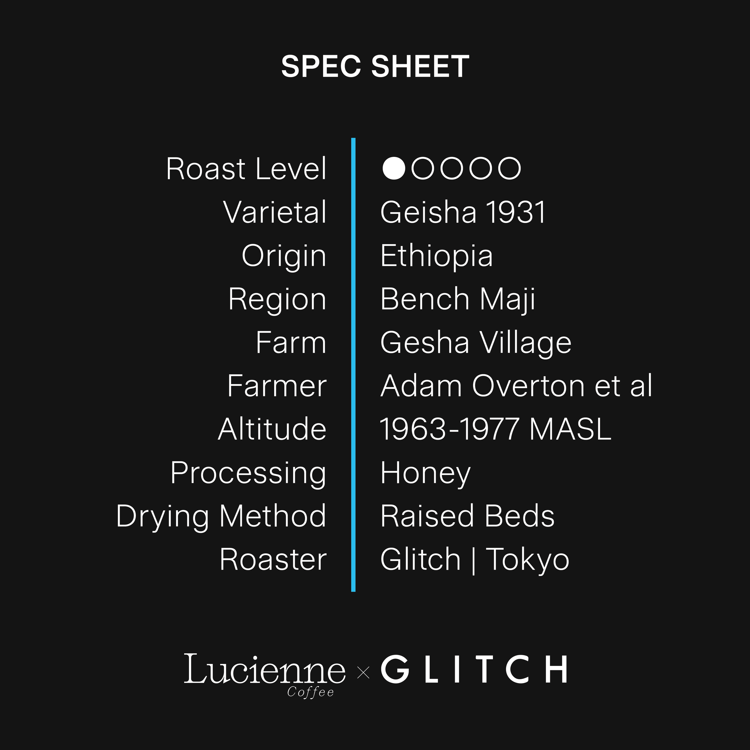 G101ET-XX spec sheet v1.png